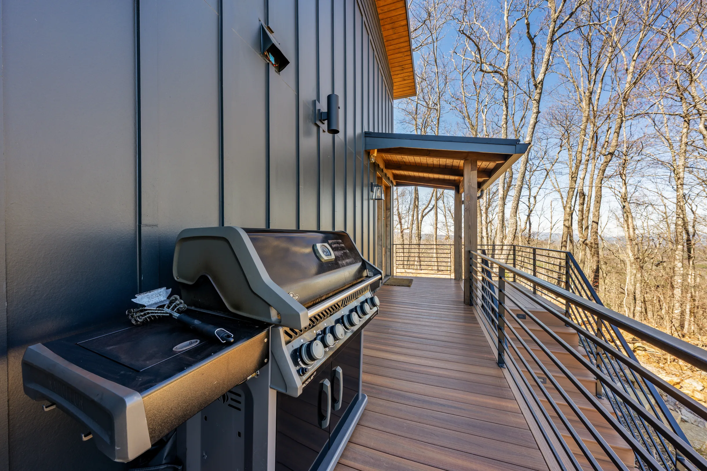 Wander Blue Ridge Pines #107