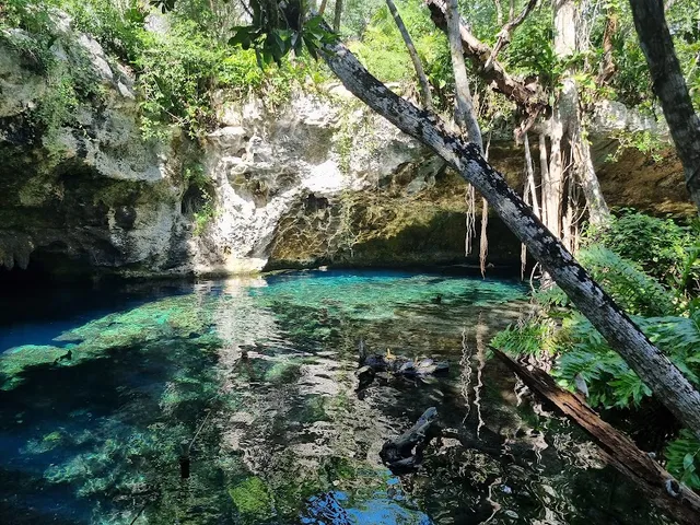 Gran Cenote