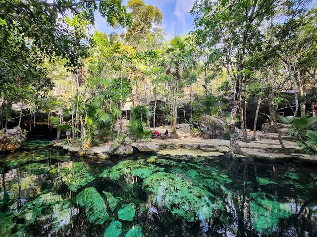 Cenote Minotauro