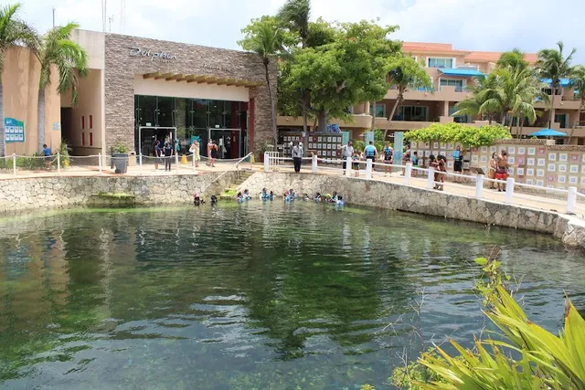 Dolphin Discovery Riviera Maya