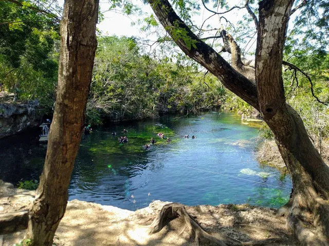 Jardin Del Eden Cenote