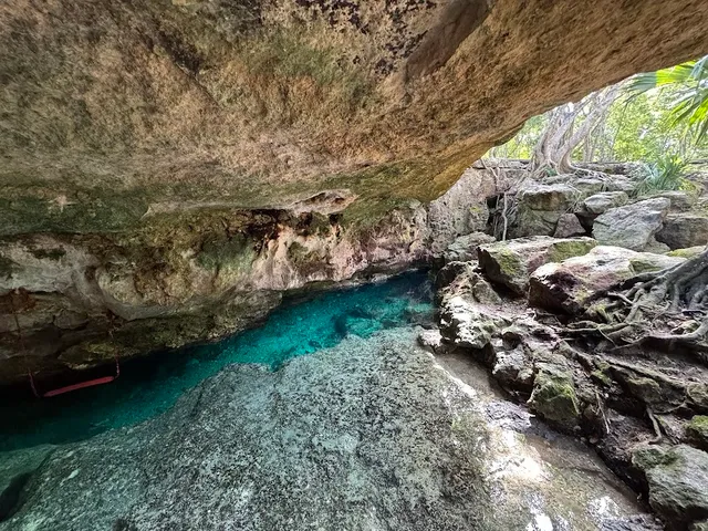 Cenote Aldea Zamá
