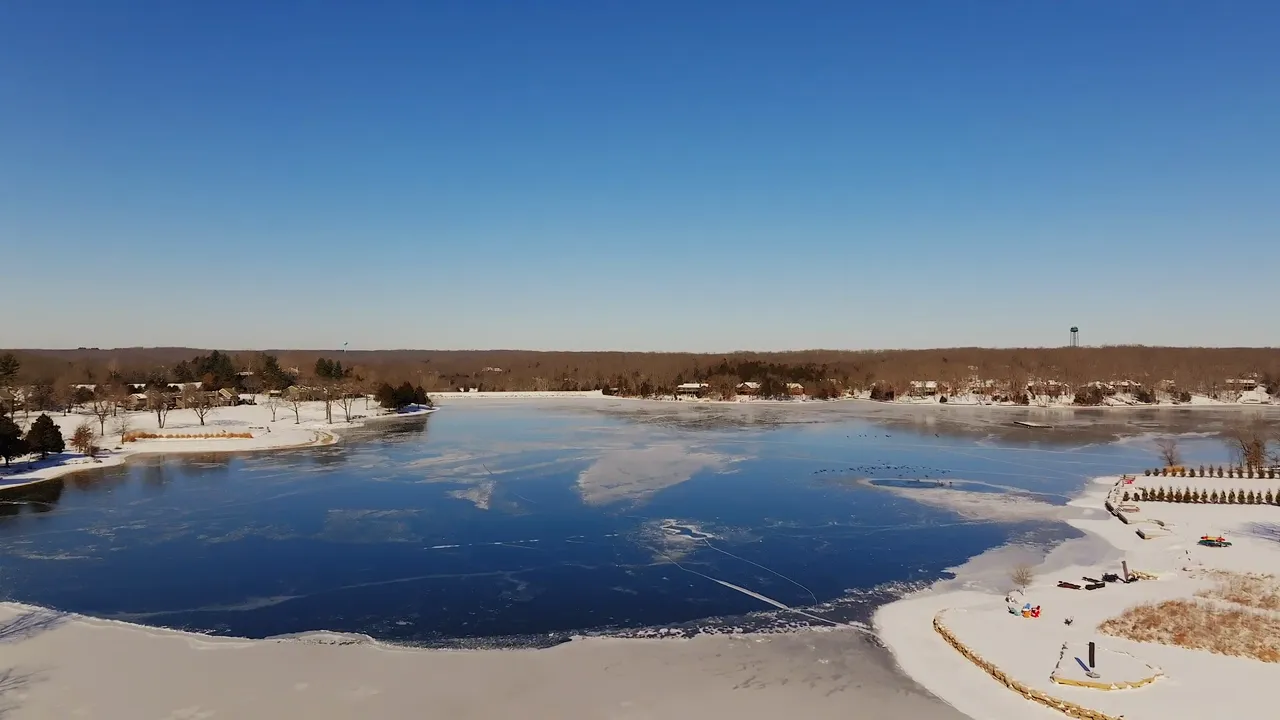 See the local activities