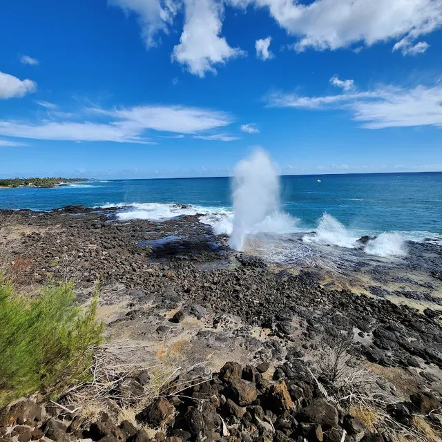 Spouting Horn Park