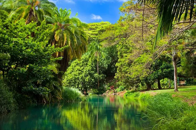 McBryde & Allerton Garden, National Tropical Botanical Garden