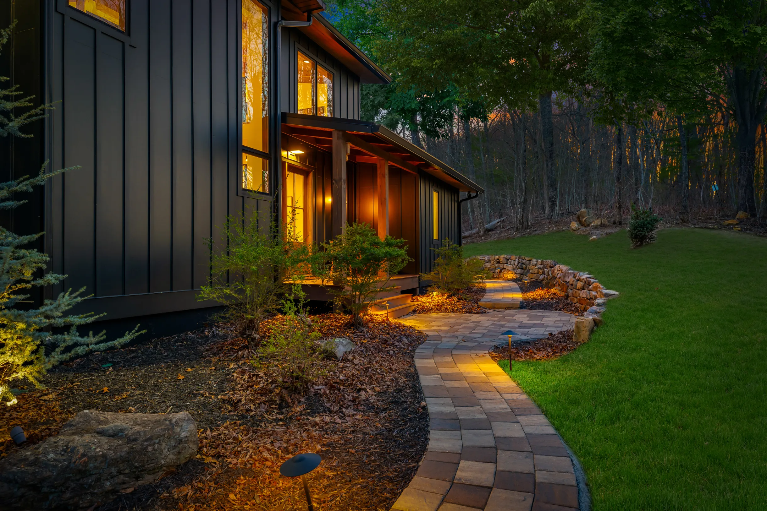 Wander Blue Ridge Pines #84