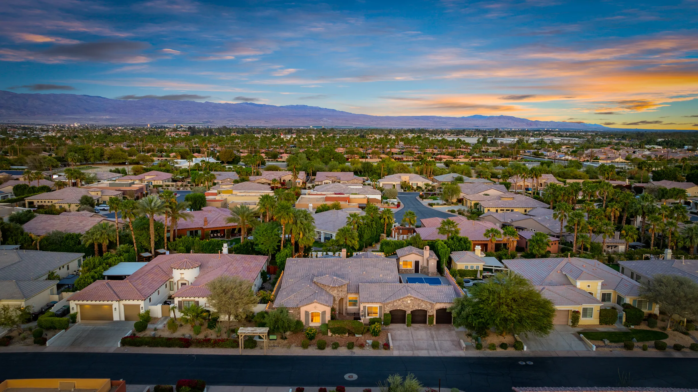 Wander Indio Palms #86