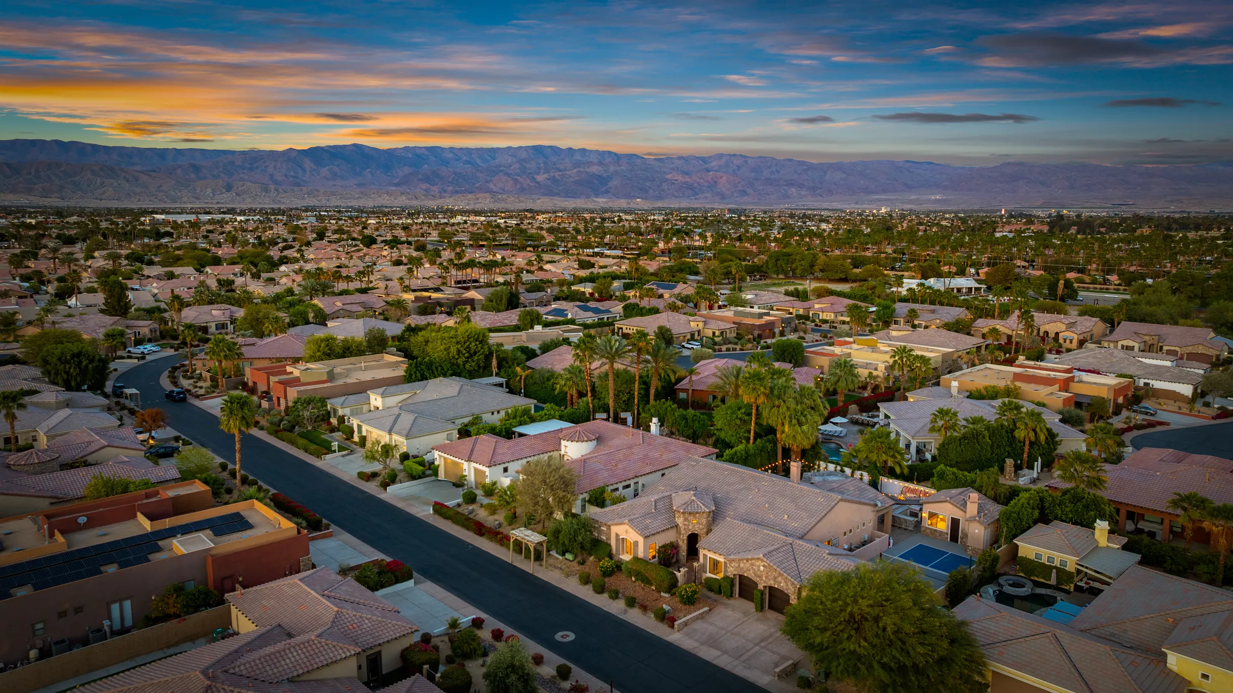 Wander Indio Palms #93