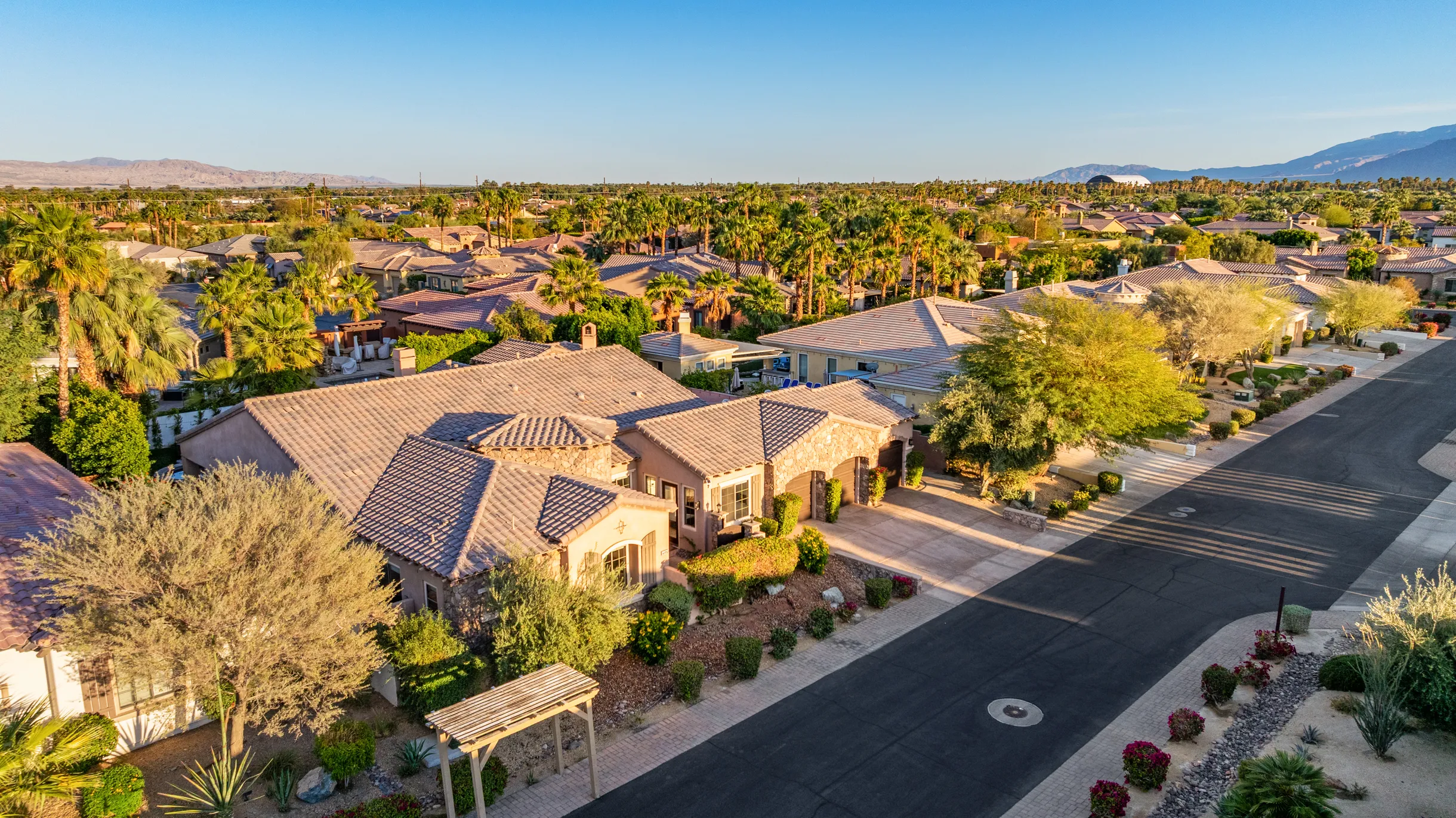 Wander Indio Palms #101