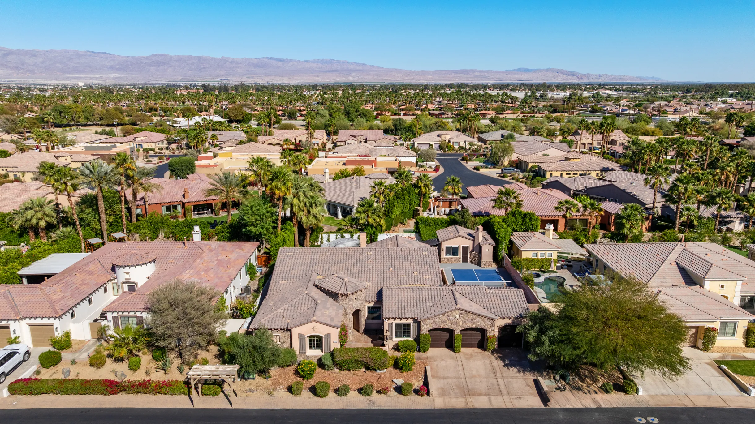 Wander Indio Palms #111