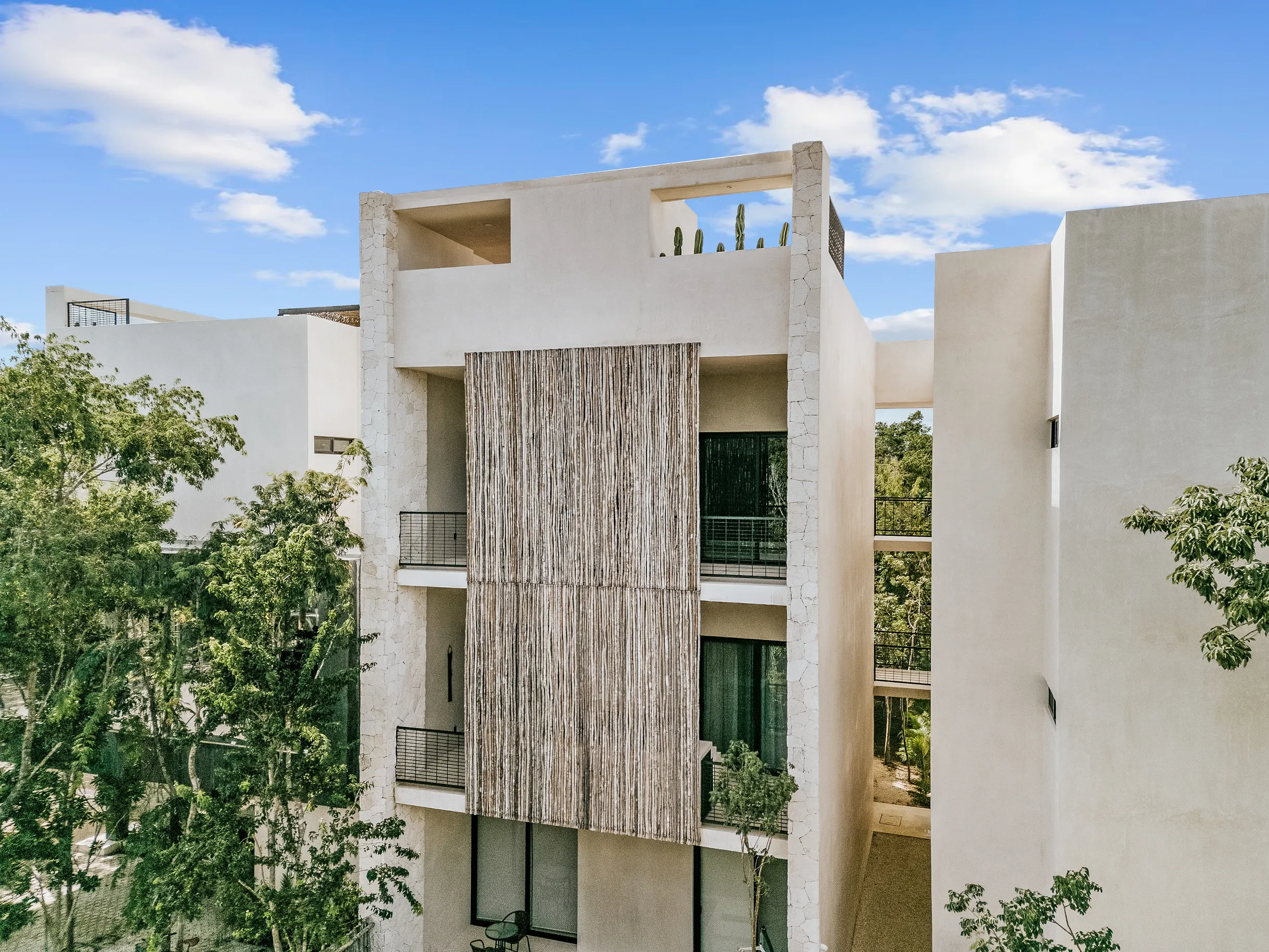 Wander Coba Oasis #4