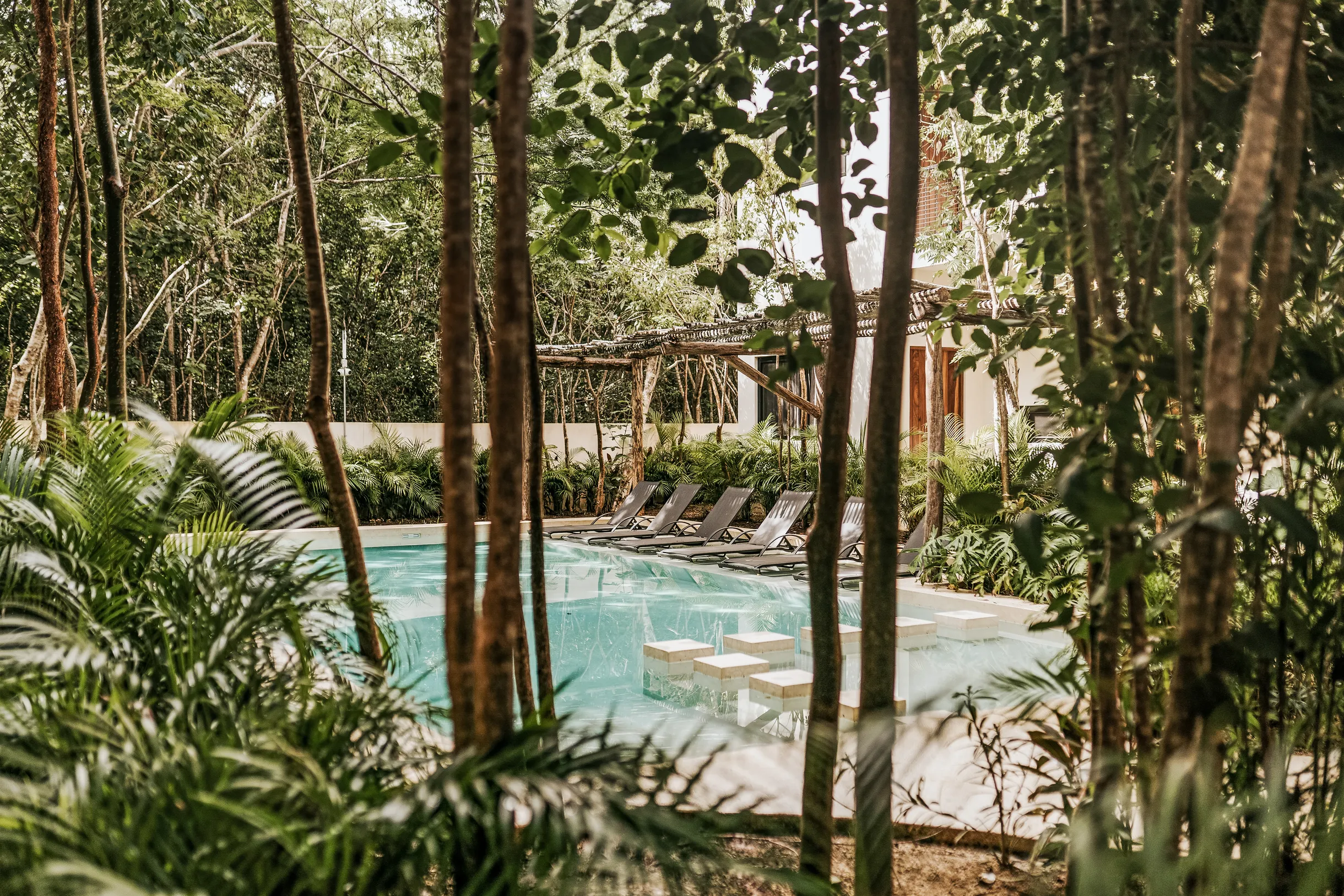 Wander Coba Oasis #36