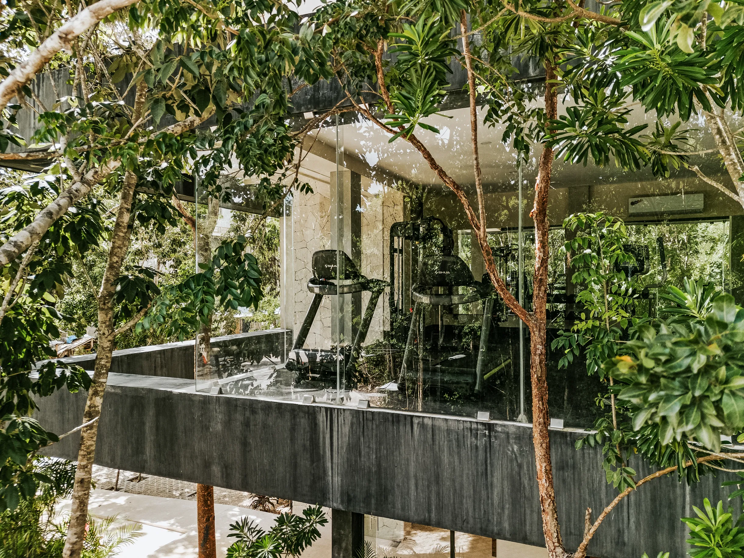 Wander Coba Oasis #40