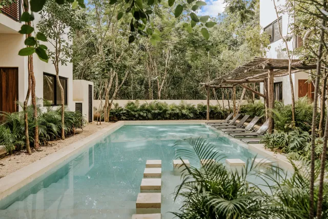 image for Wander Coba Oasis