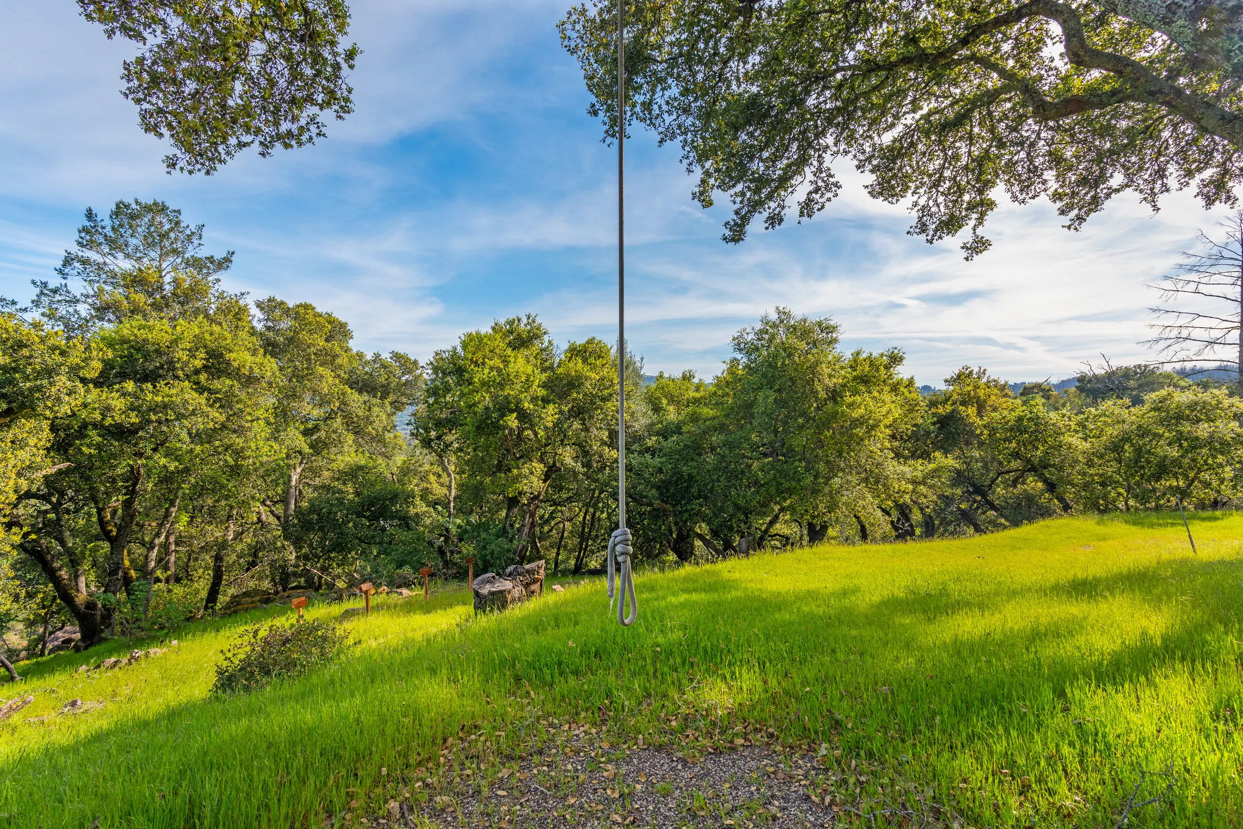 Wander Kenwood Hills #121