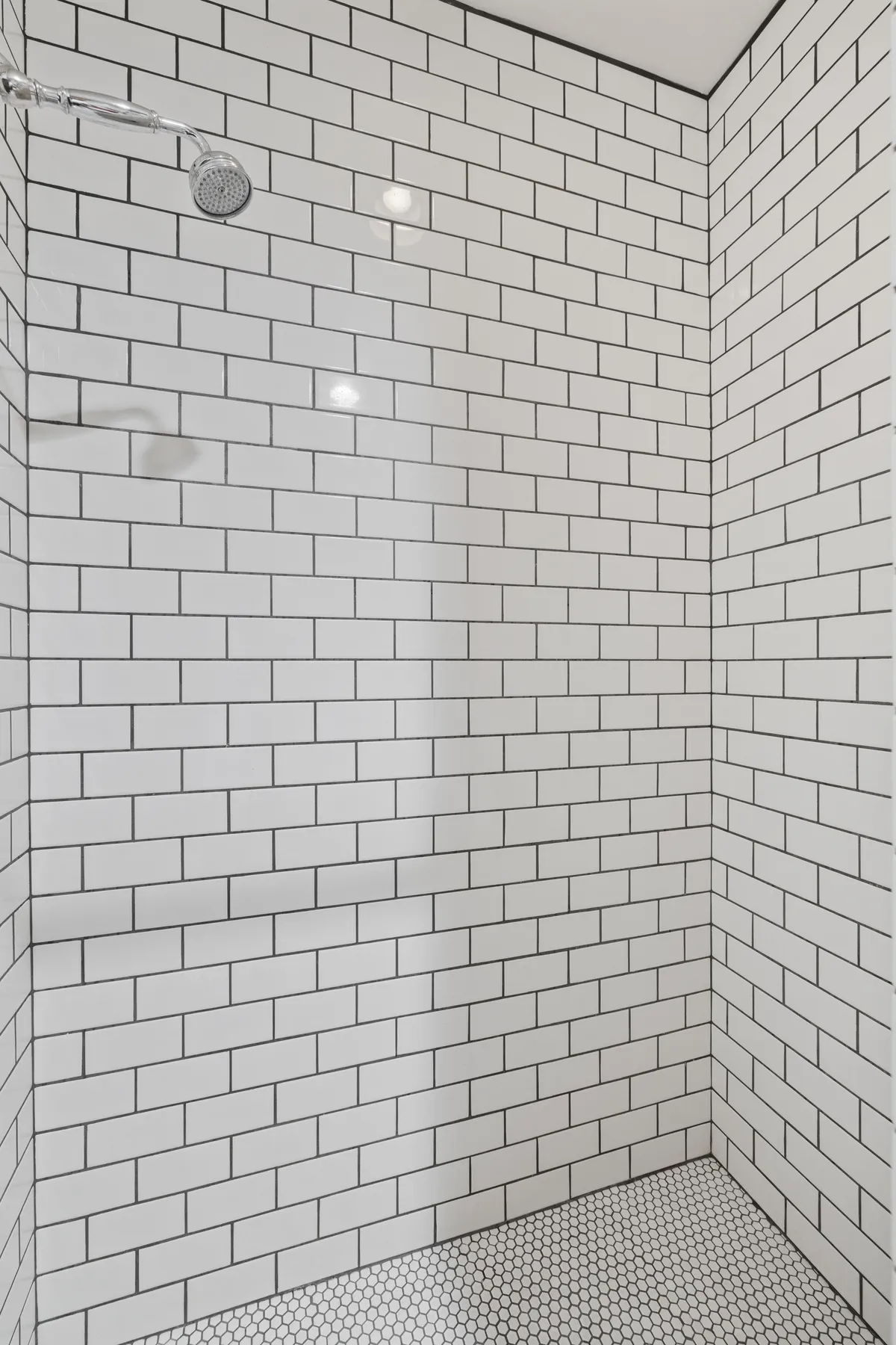 Wander Coeur d'Alene #43