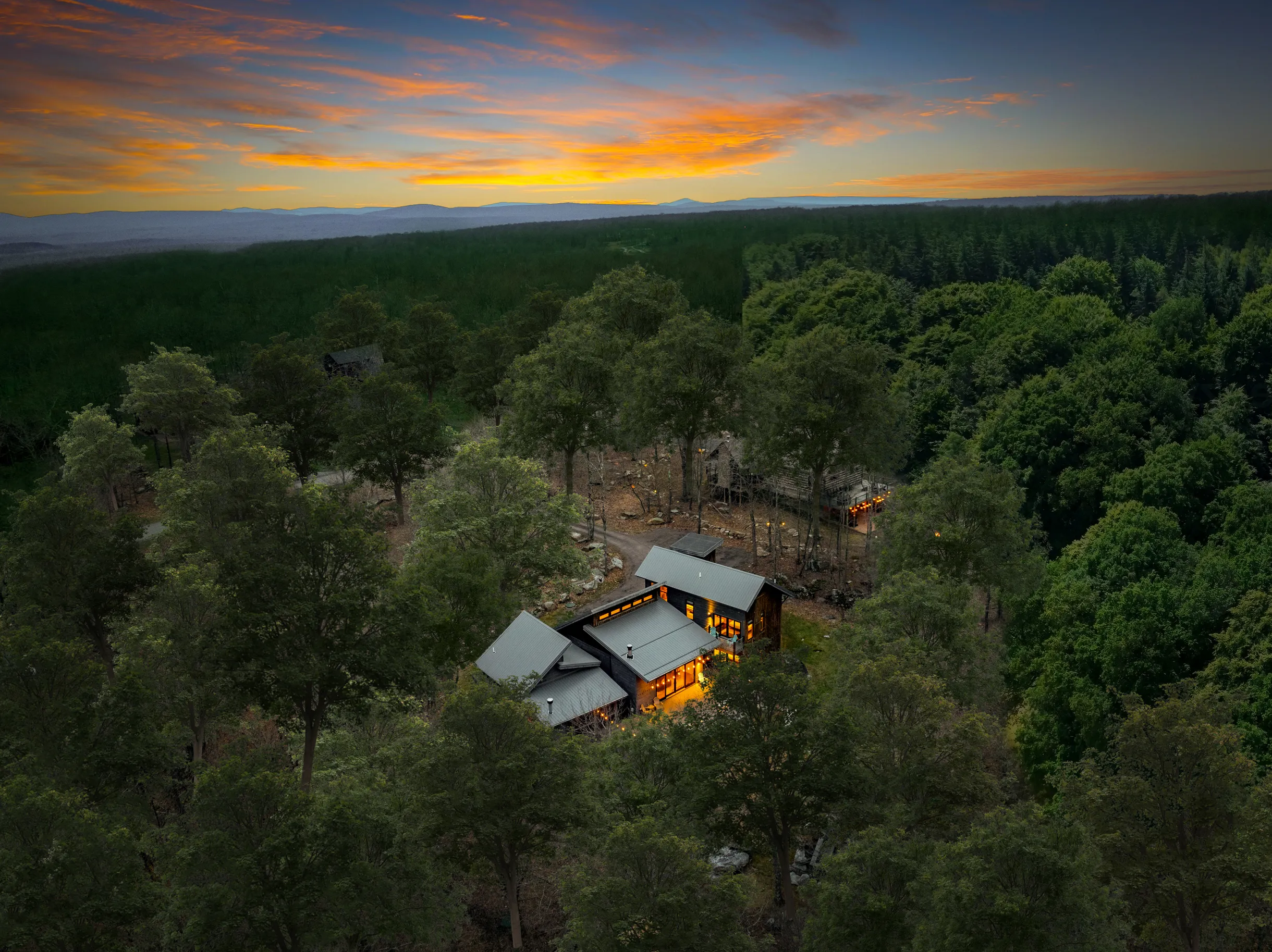 Wander Fern Hollow #42