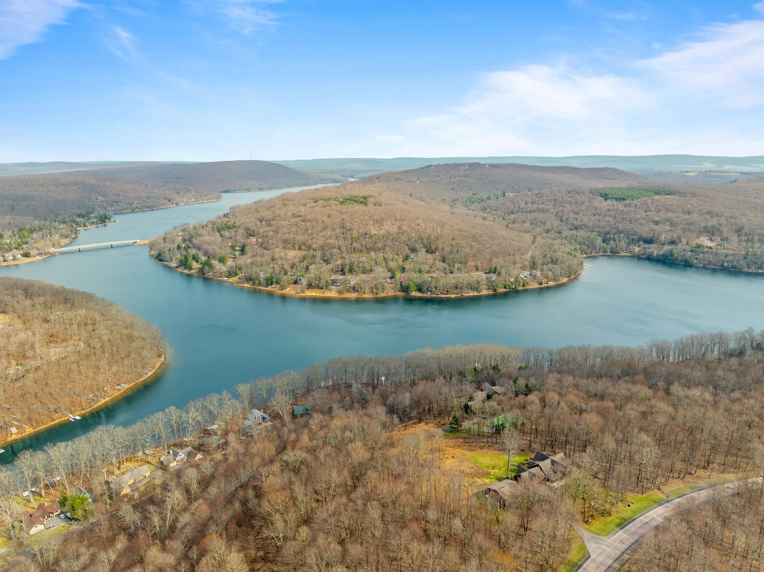 Wander Fern Hollow #74