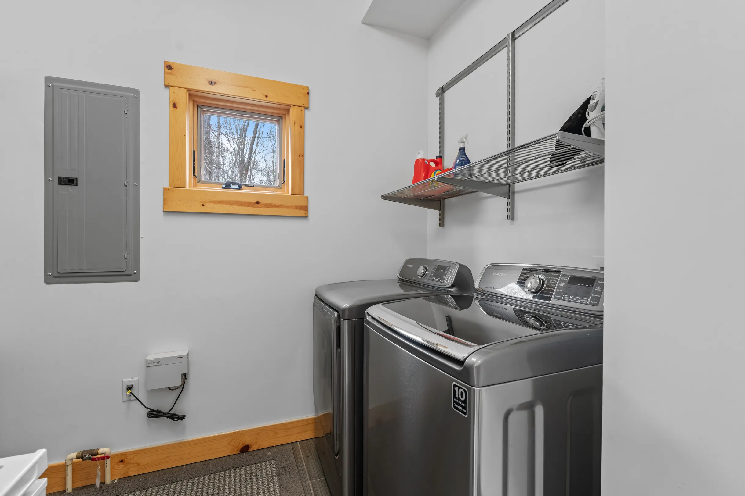 Wander Fern Hollow #4