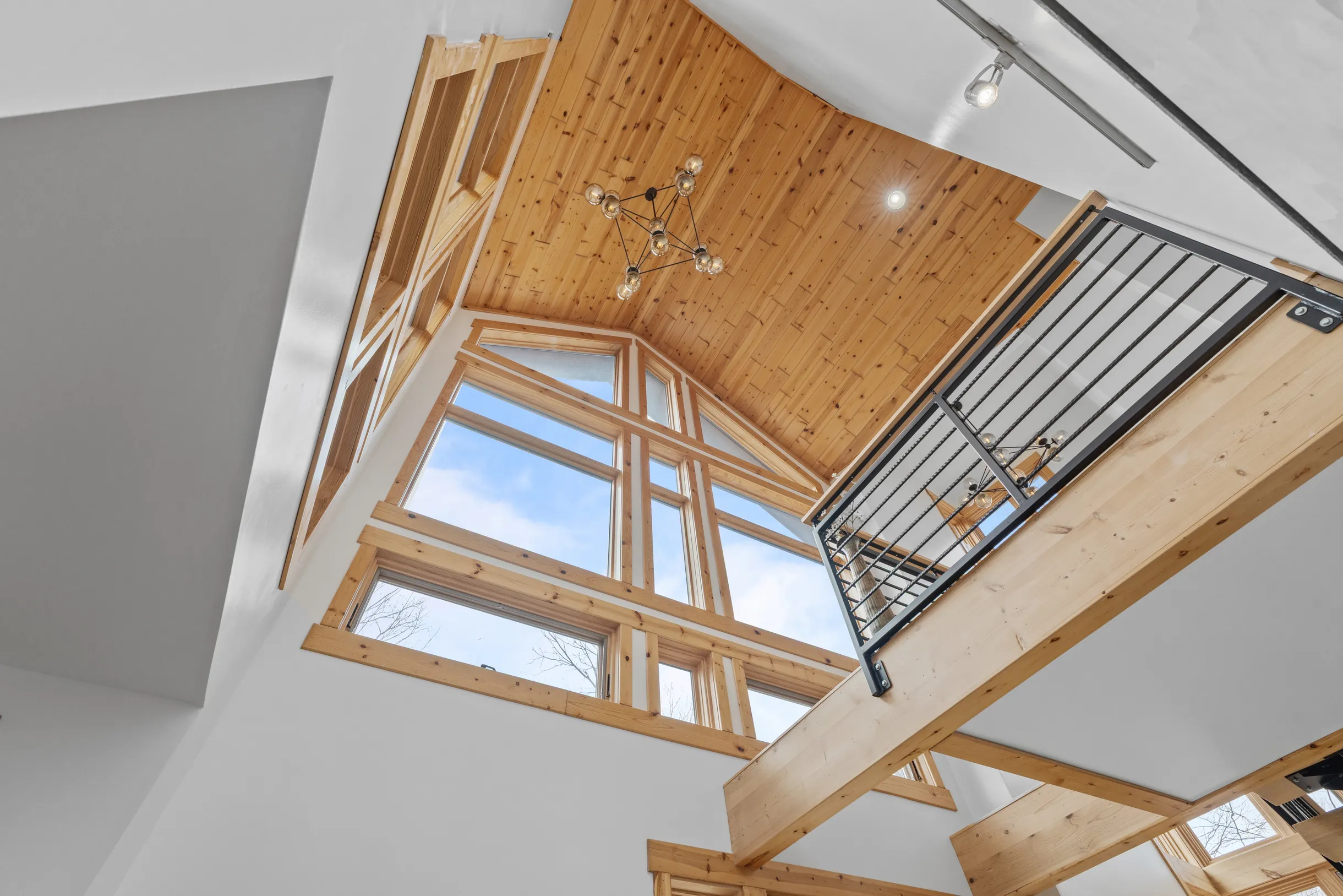 Wander Fern Hollow #51