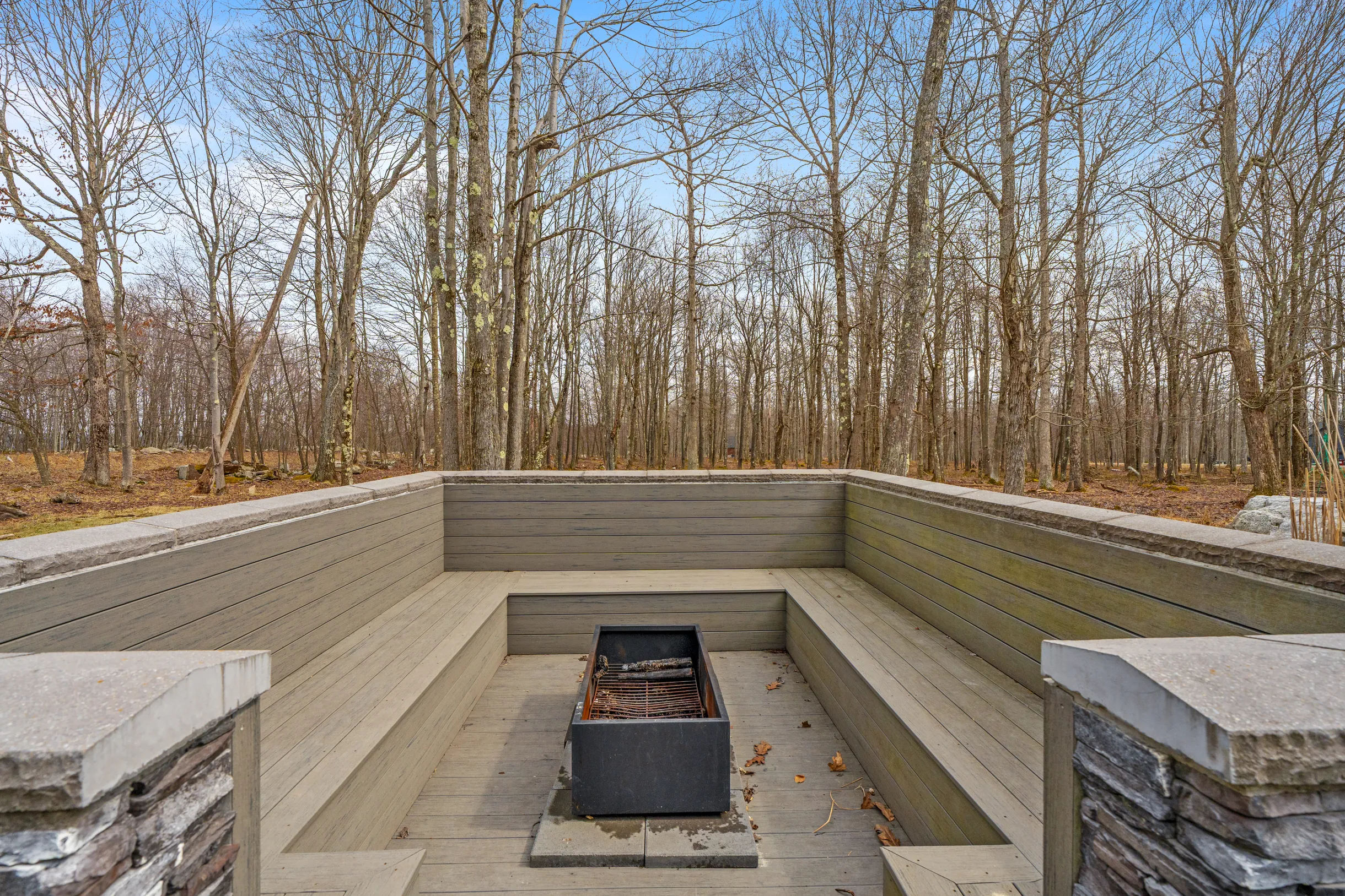 Wander Fern Hollow #56