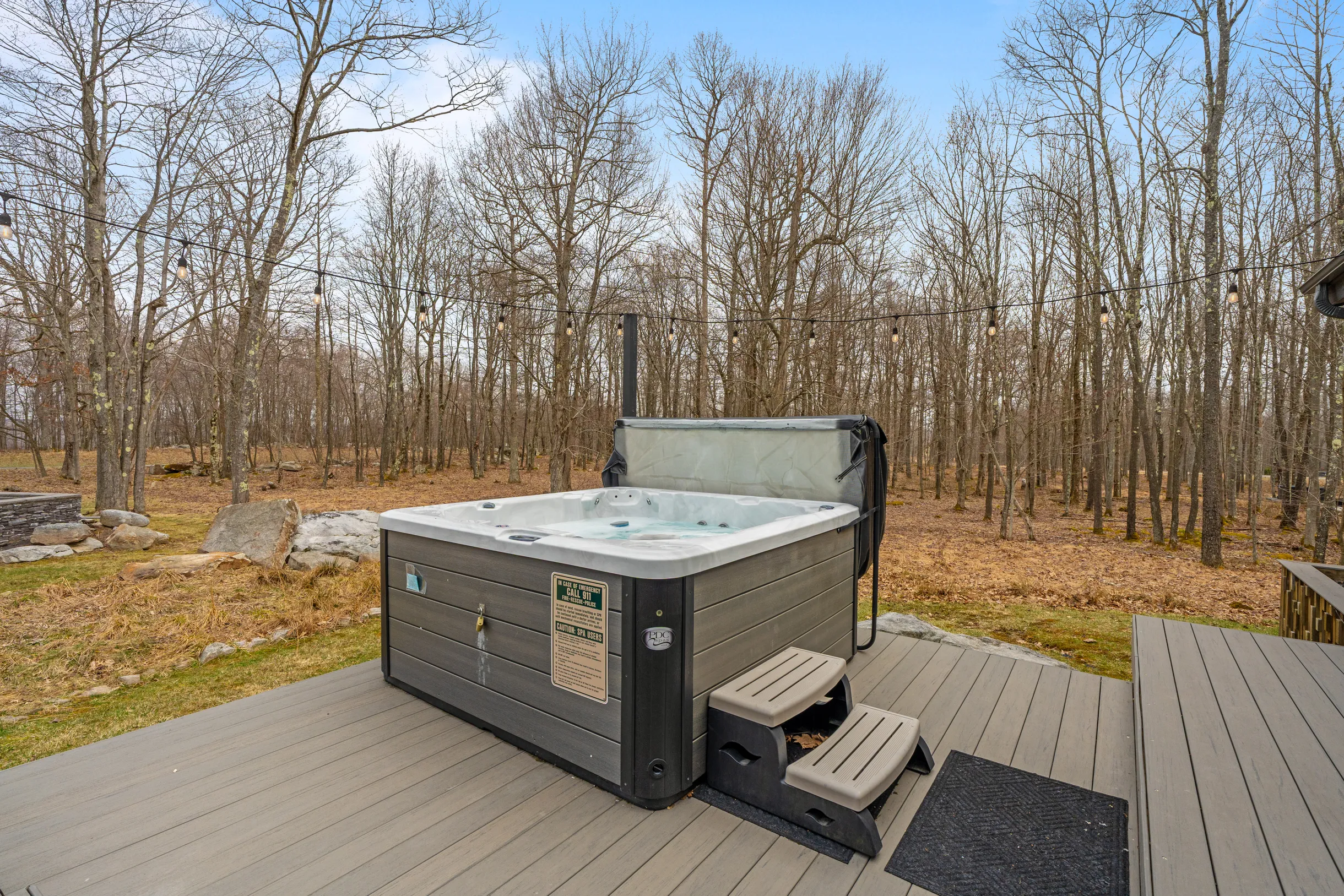 Wander Fern Hollow #64