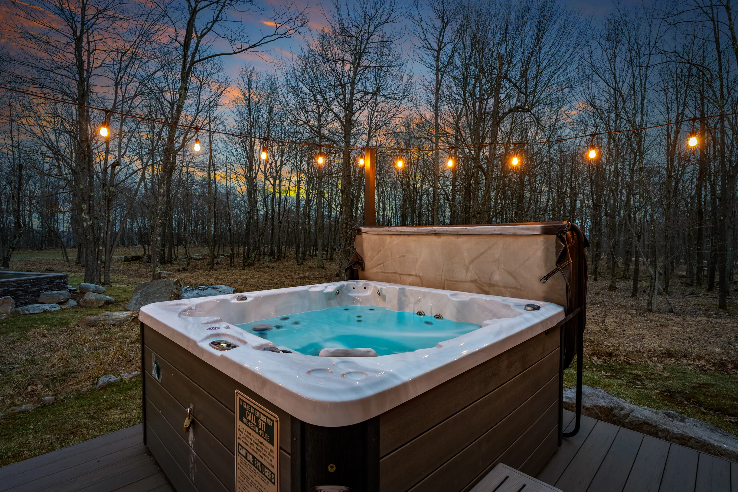 Wander Fern Hollow #22