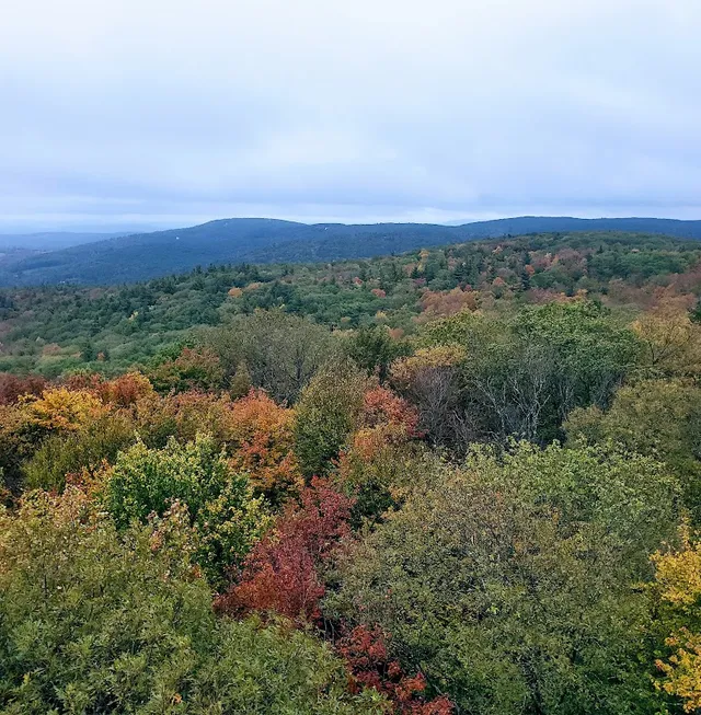Beebe Hill State Forest