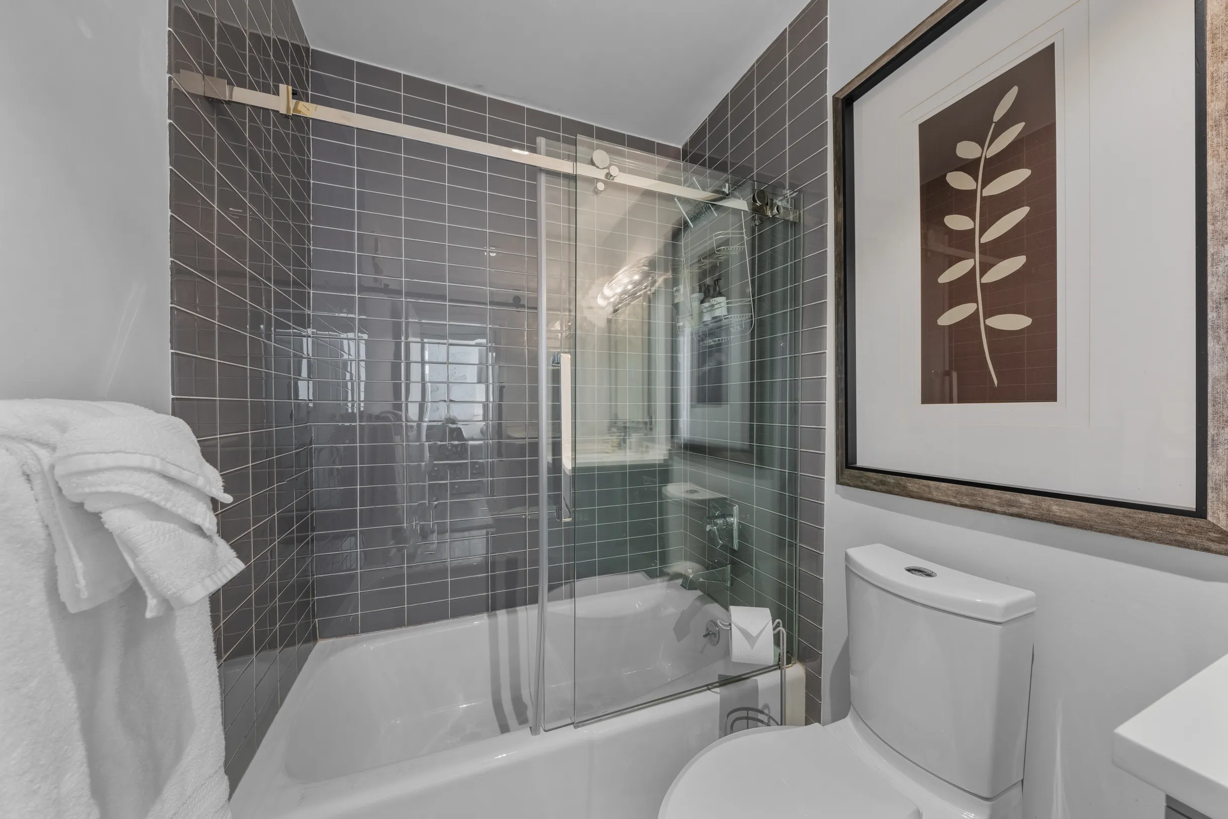 Wander Tampa Bay #40