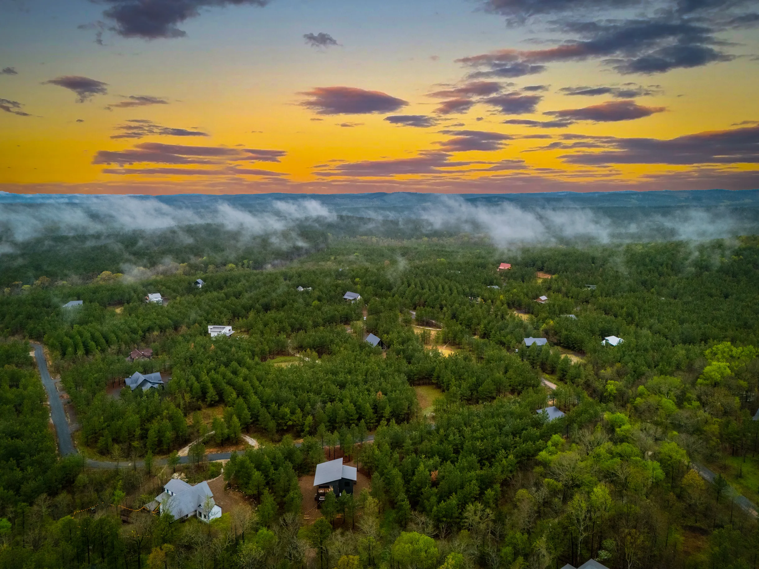 Wander Broken Bow Forest #104