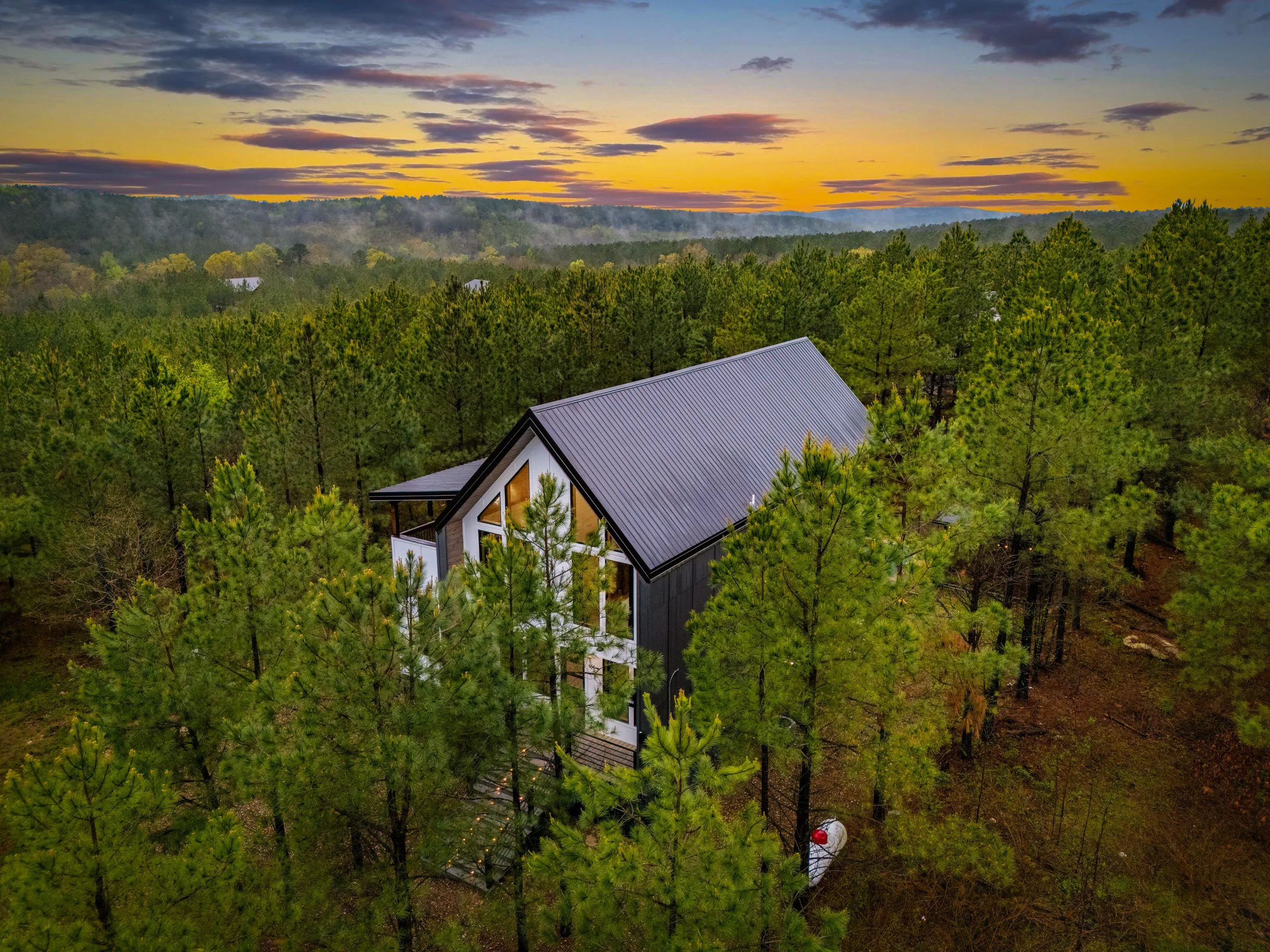 Wander Broken Bow Forest #87