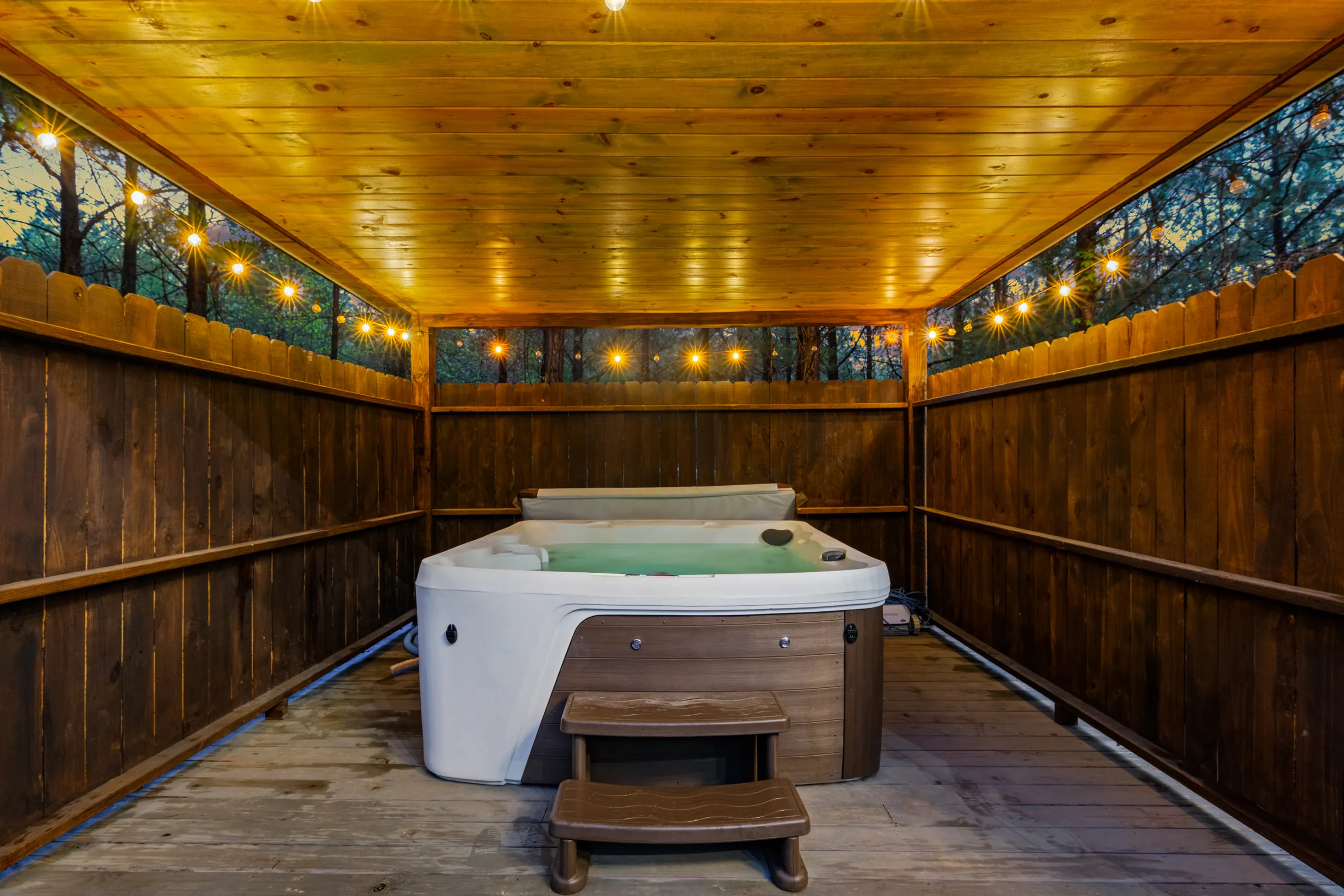 Wander Broken Bow Forest #108