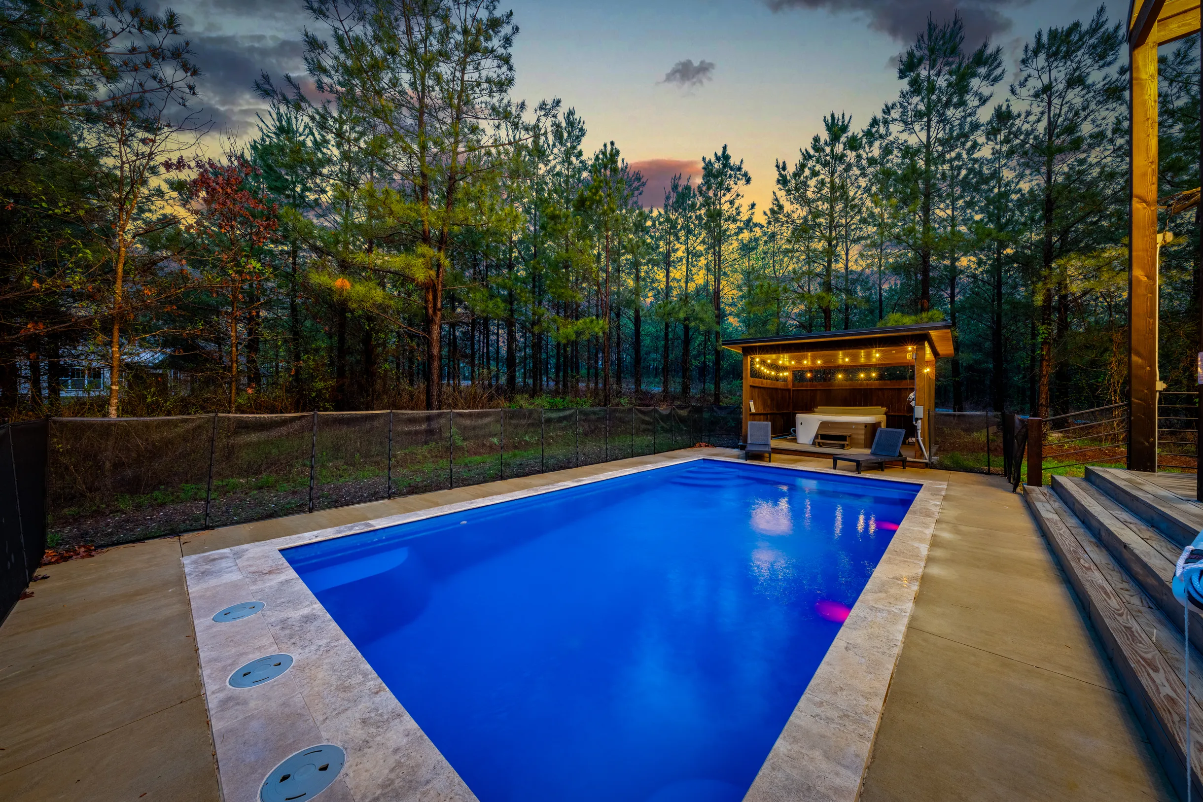 Wander Broken Bow Forest #88