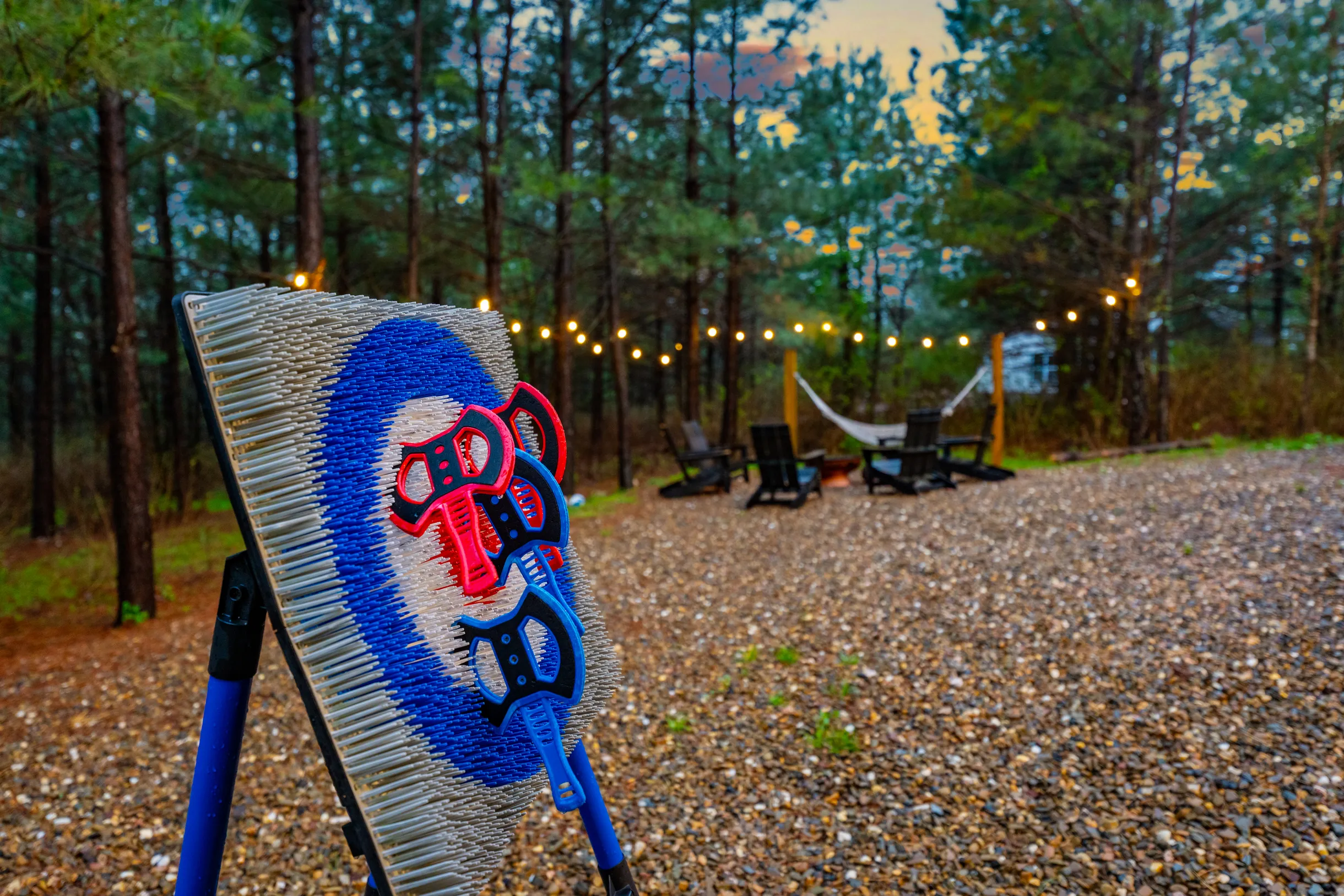 Wander Broken Bow Forest #62