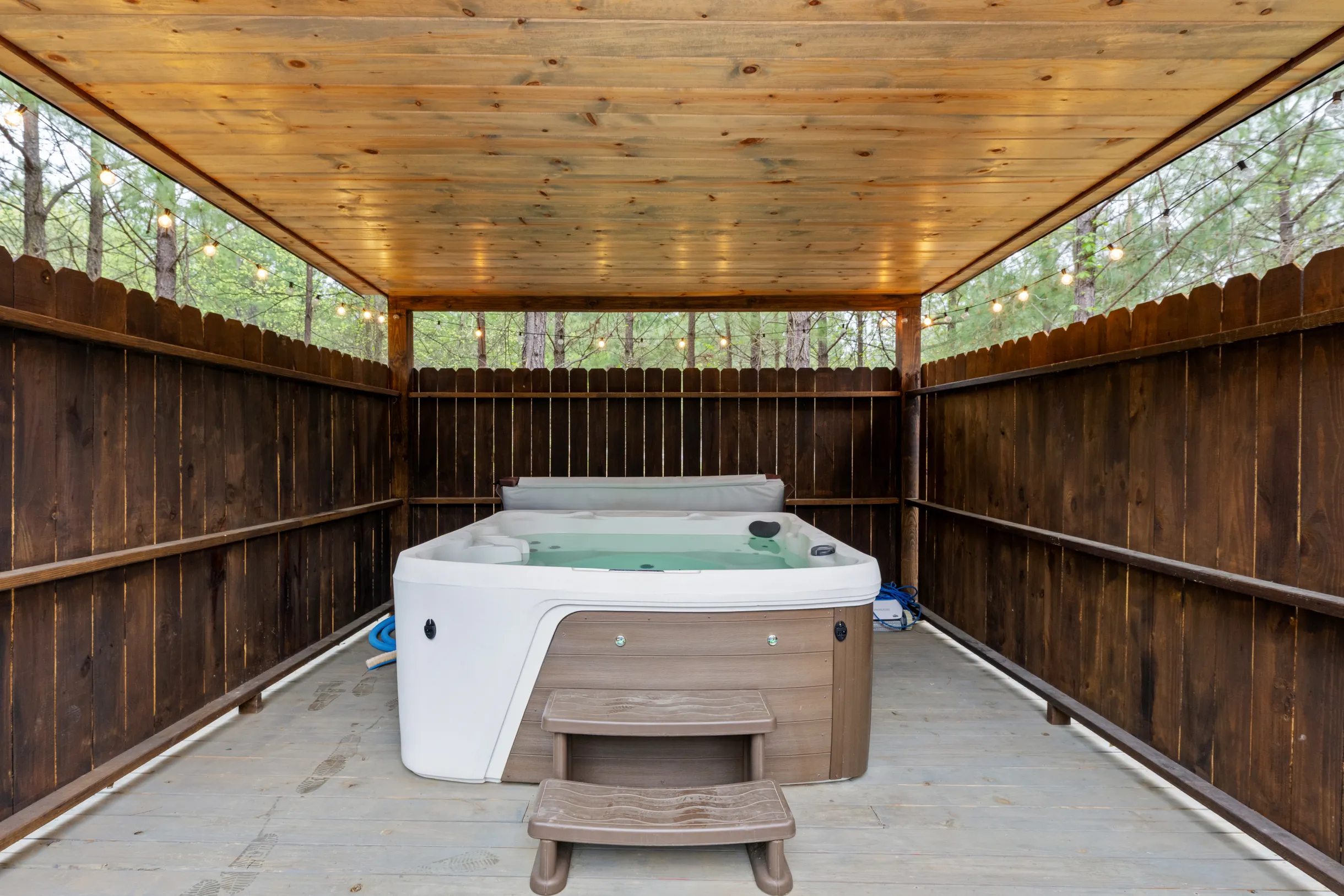 Wander Broken Bow Forest #118