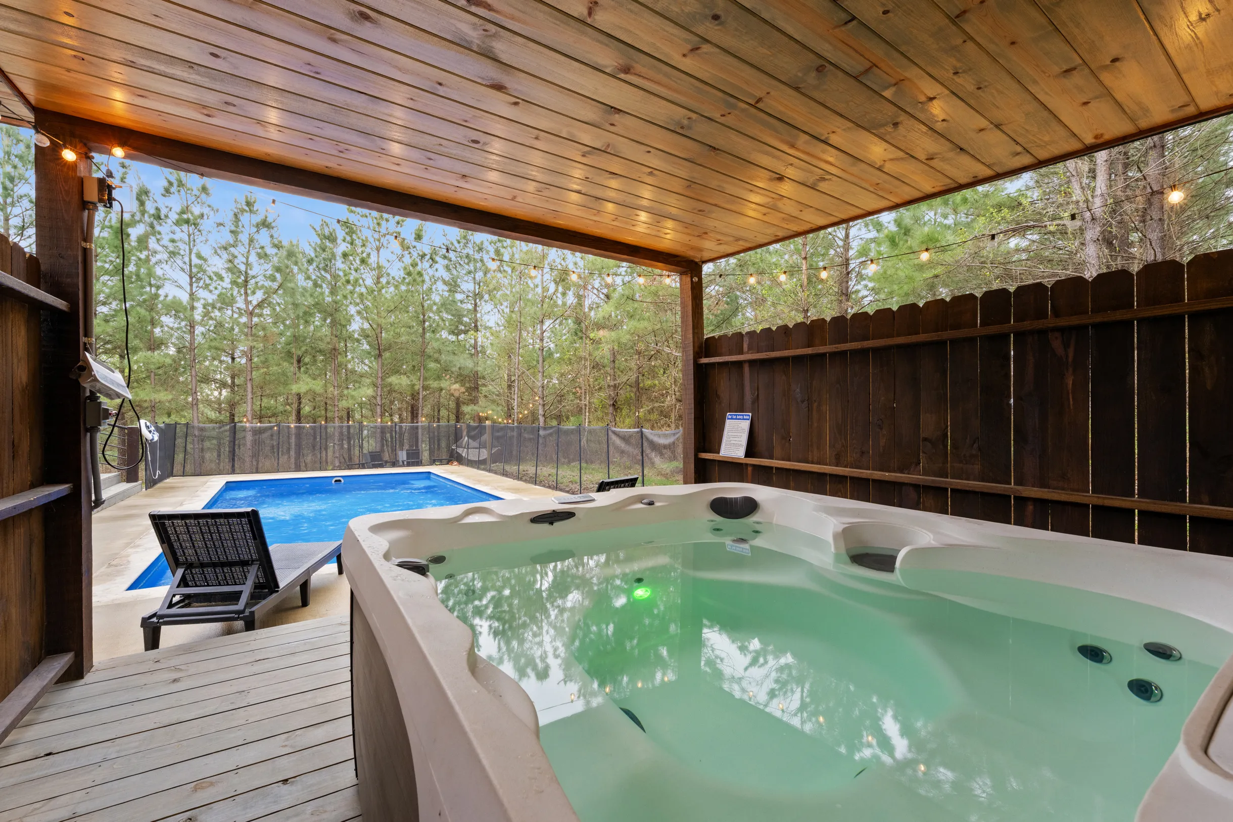 Wander Broken Bow Forest #119