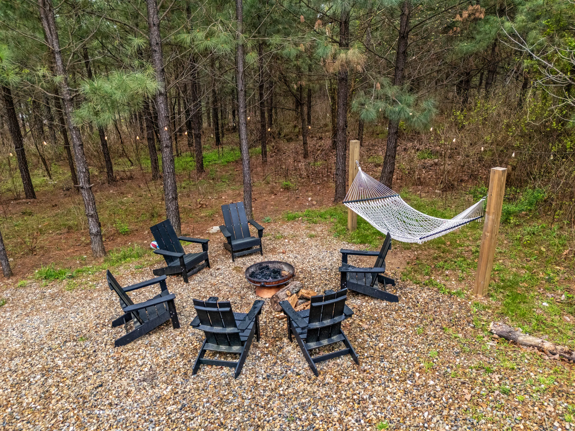 Wander Broken Bow Forest #109