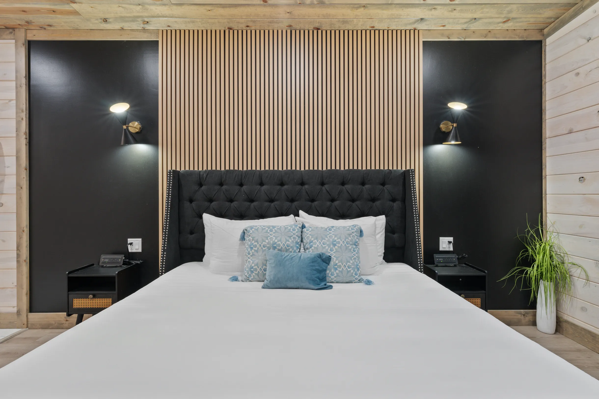 Wander Broken Bow Forest #28