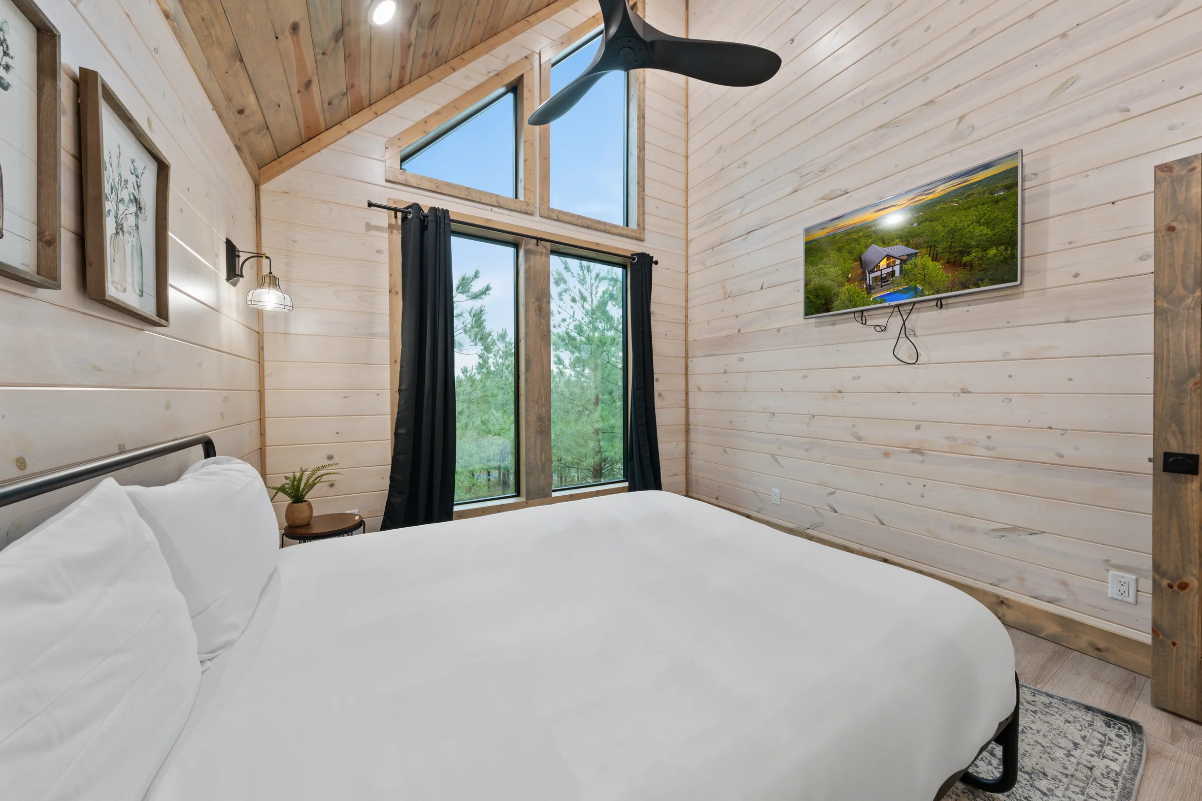 Wander Broken Bow Forest #88