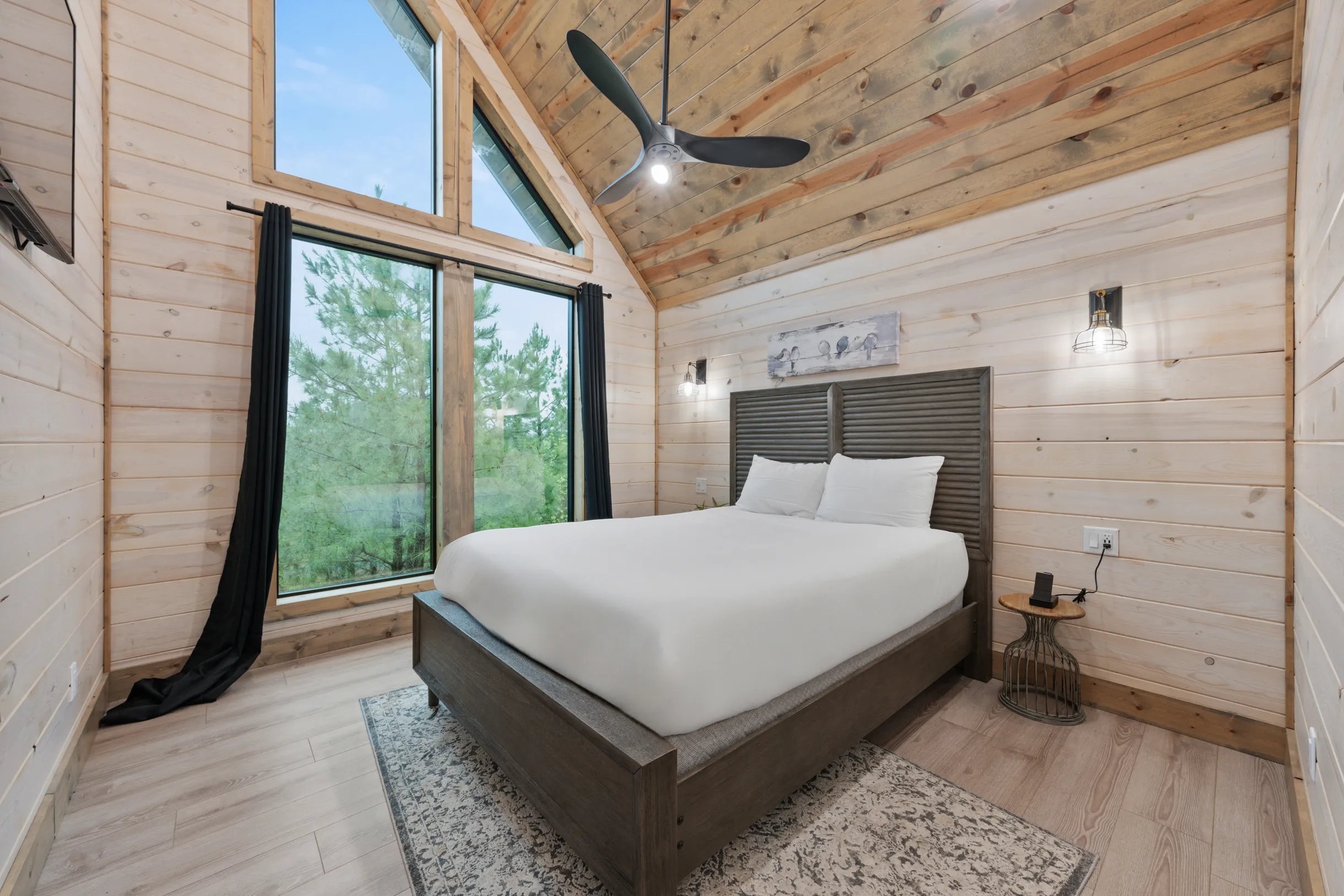 Wander Broken Bow Forest #49