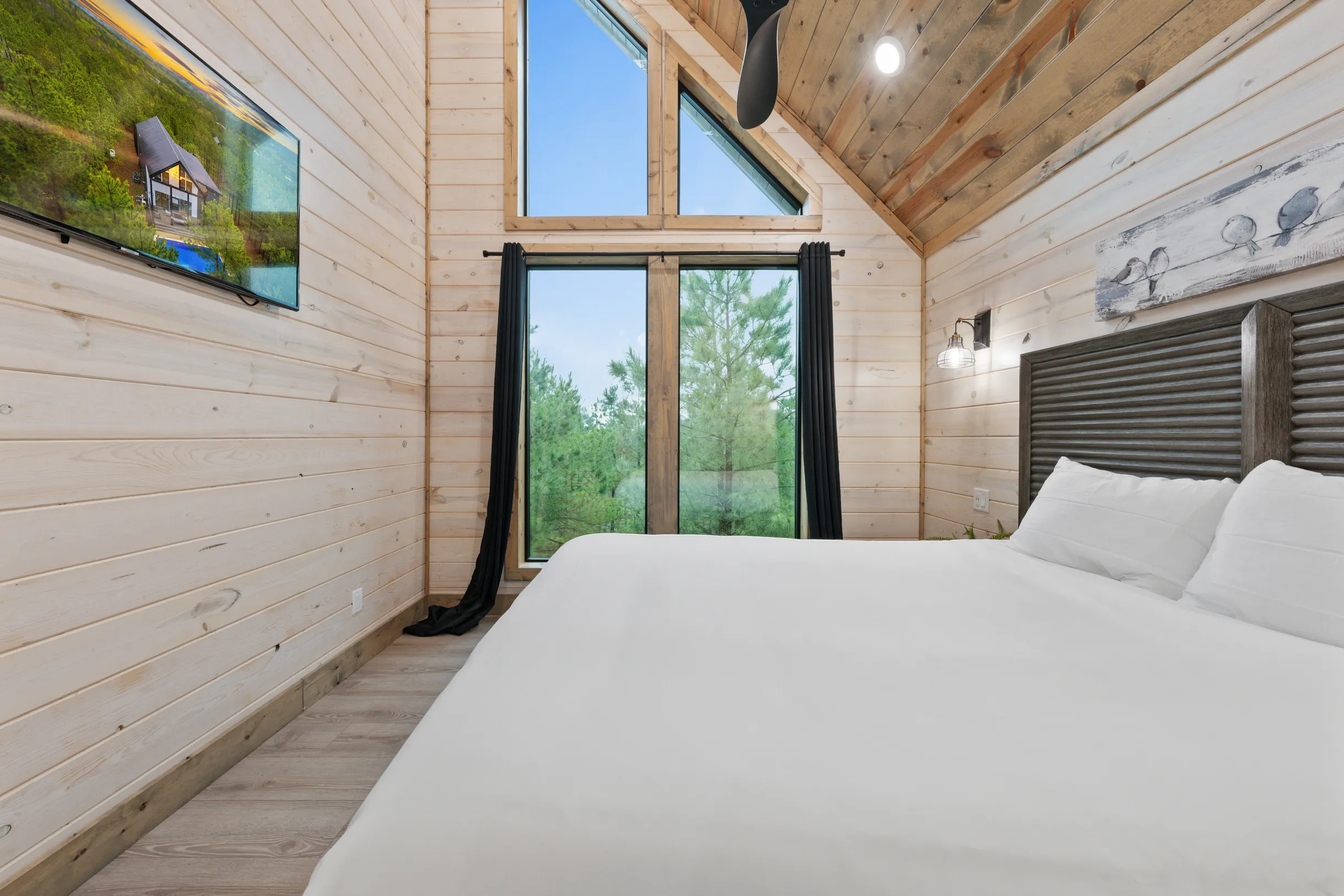 Wander Broken Bow Forest #67