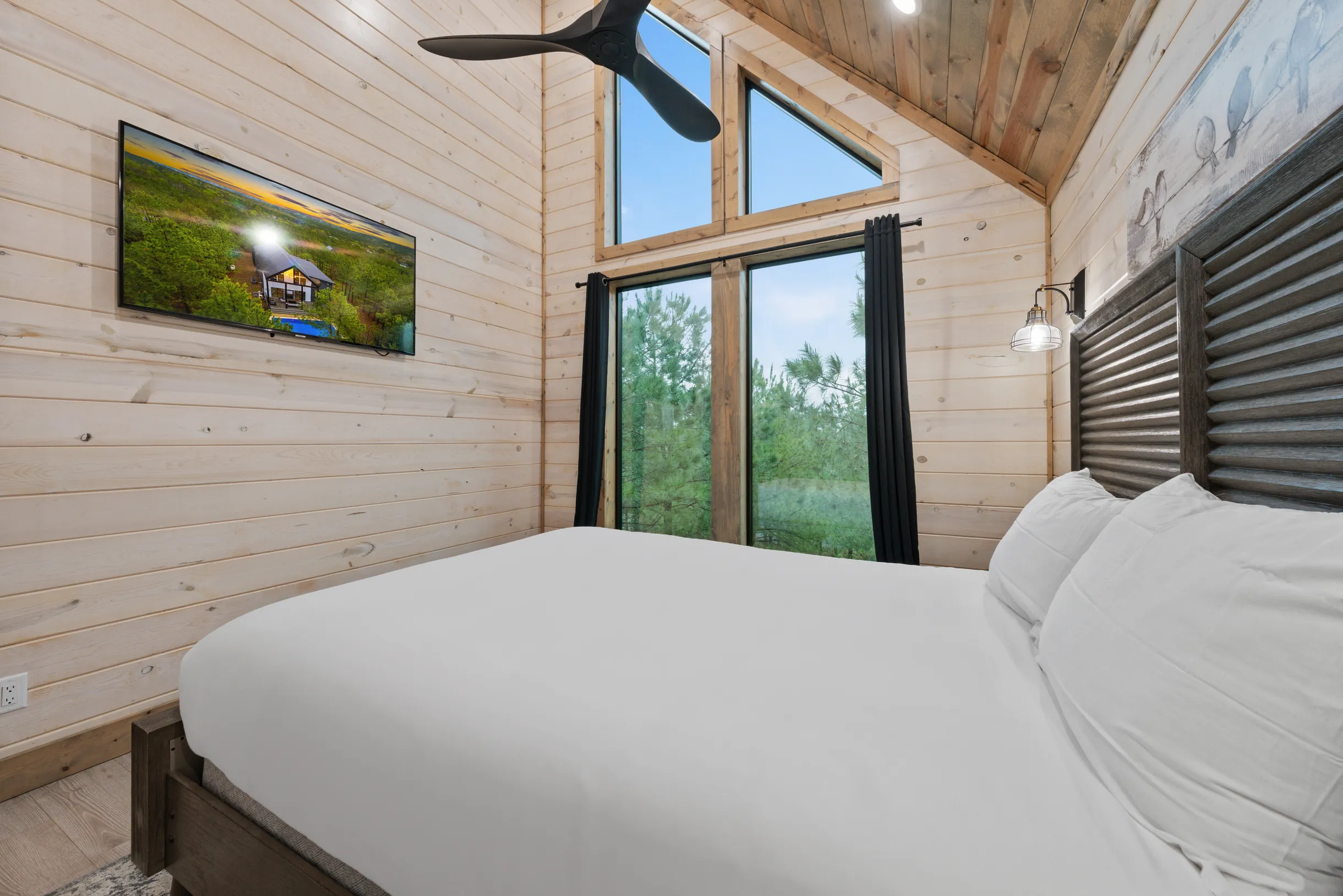 Wander Broken Bow Forest #80