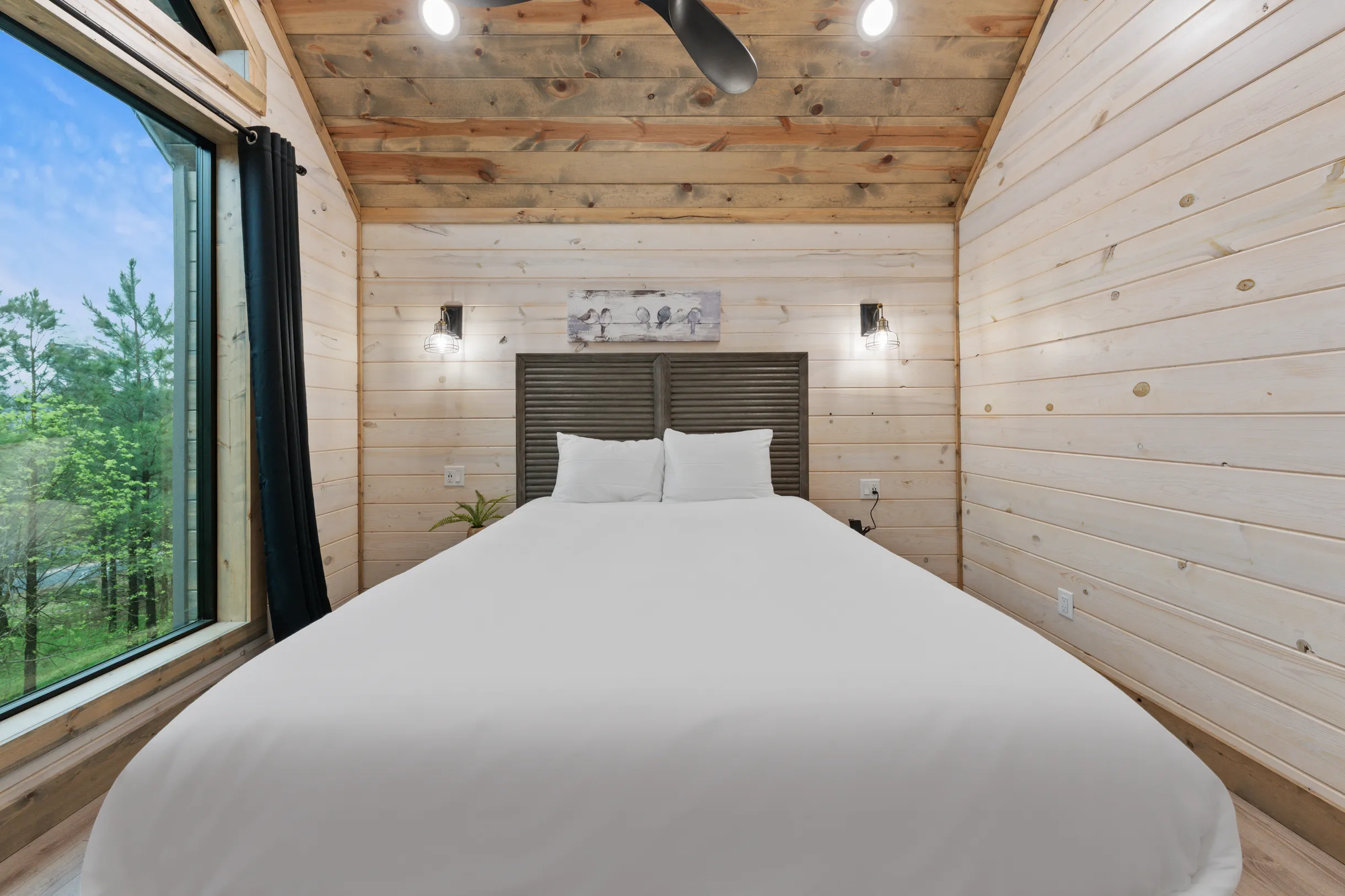 Wander Broken Bow Forest #89