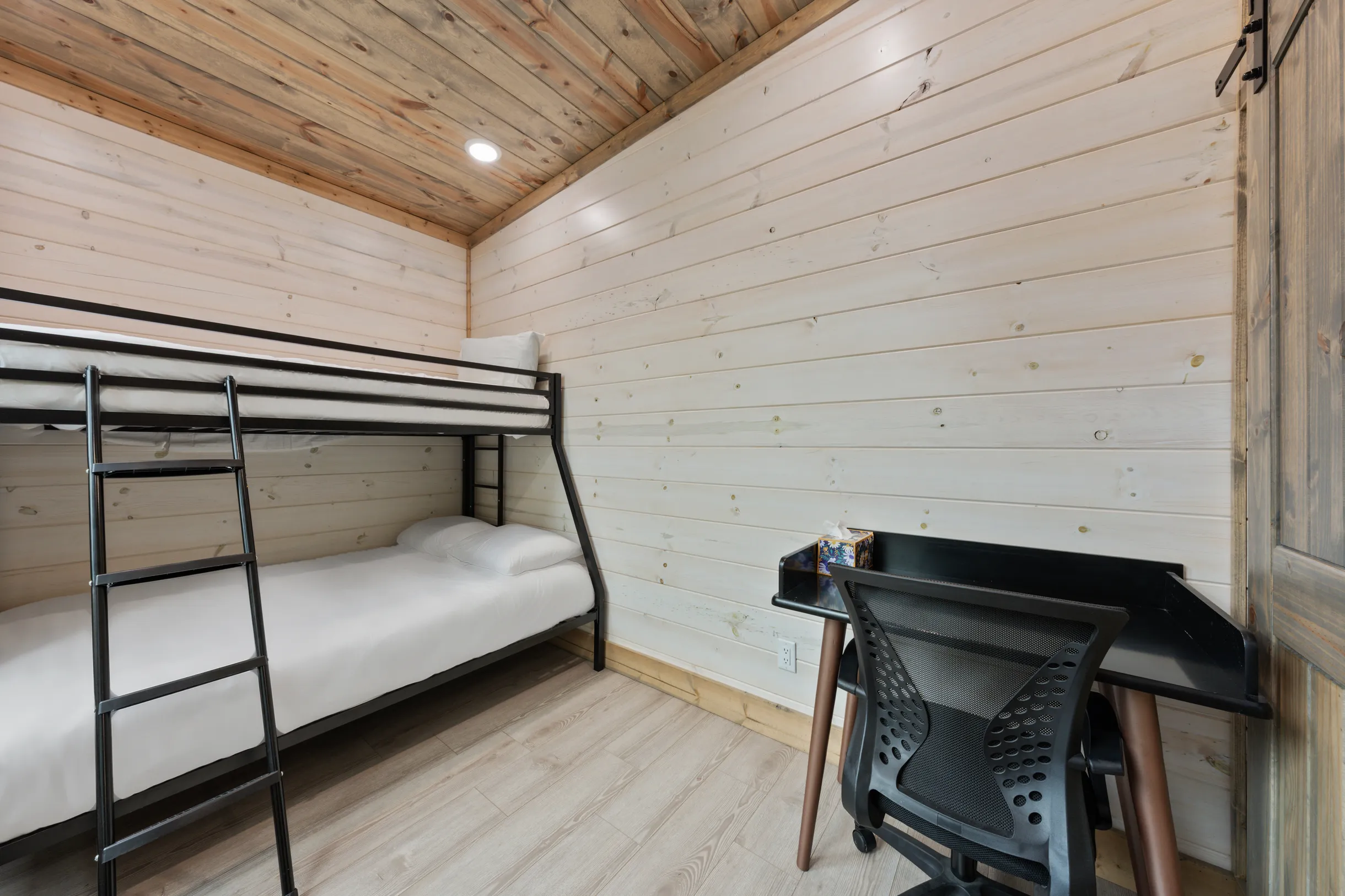 Wander Broken Bow Forest #32