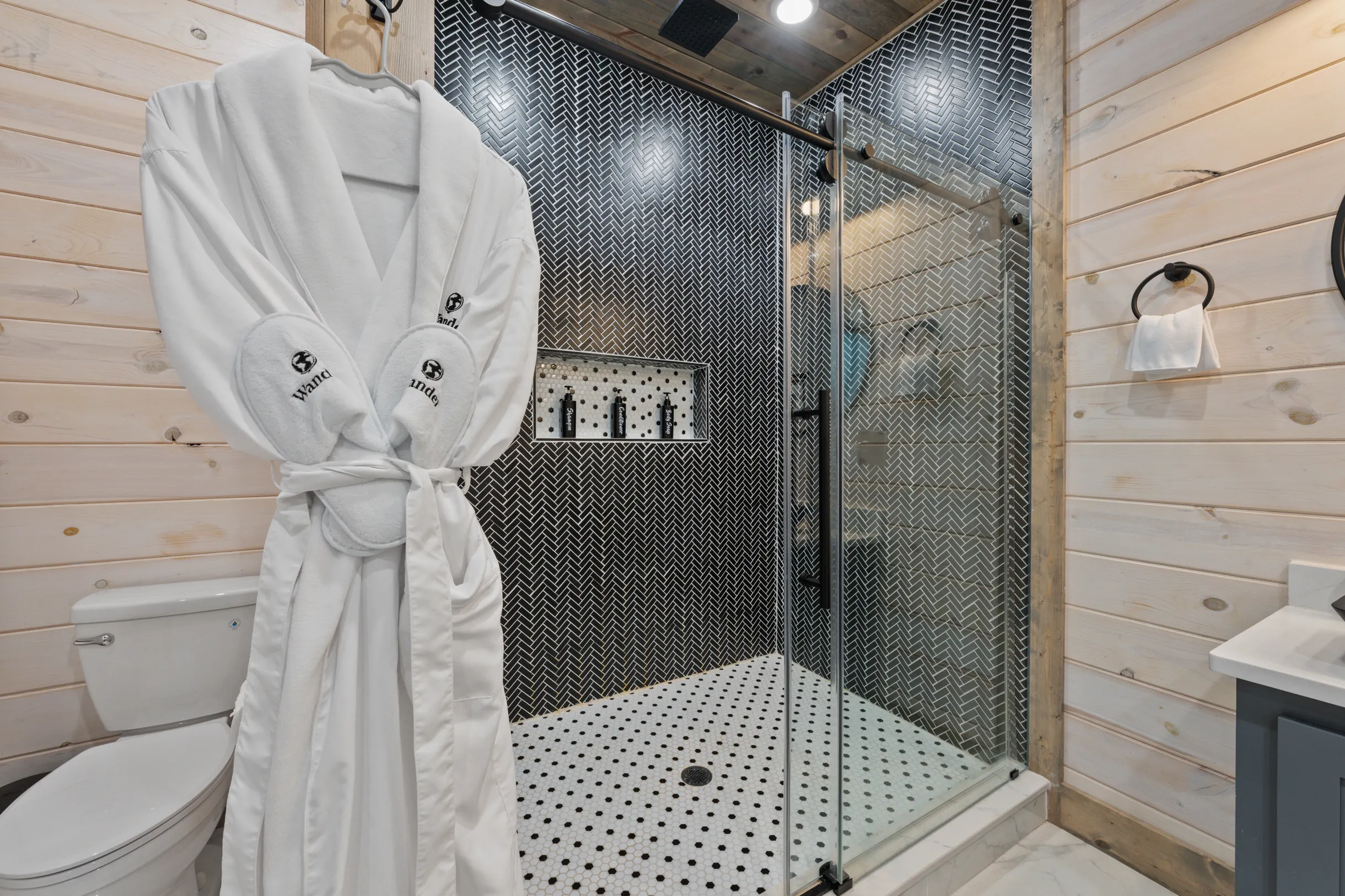 Wander Broken Bow Forest #81