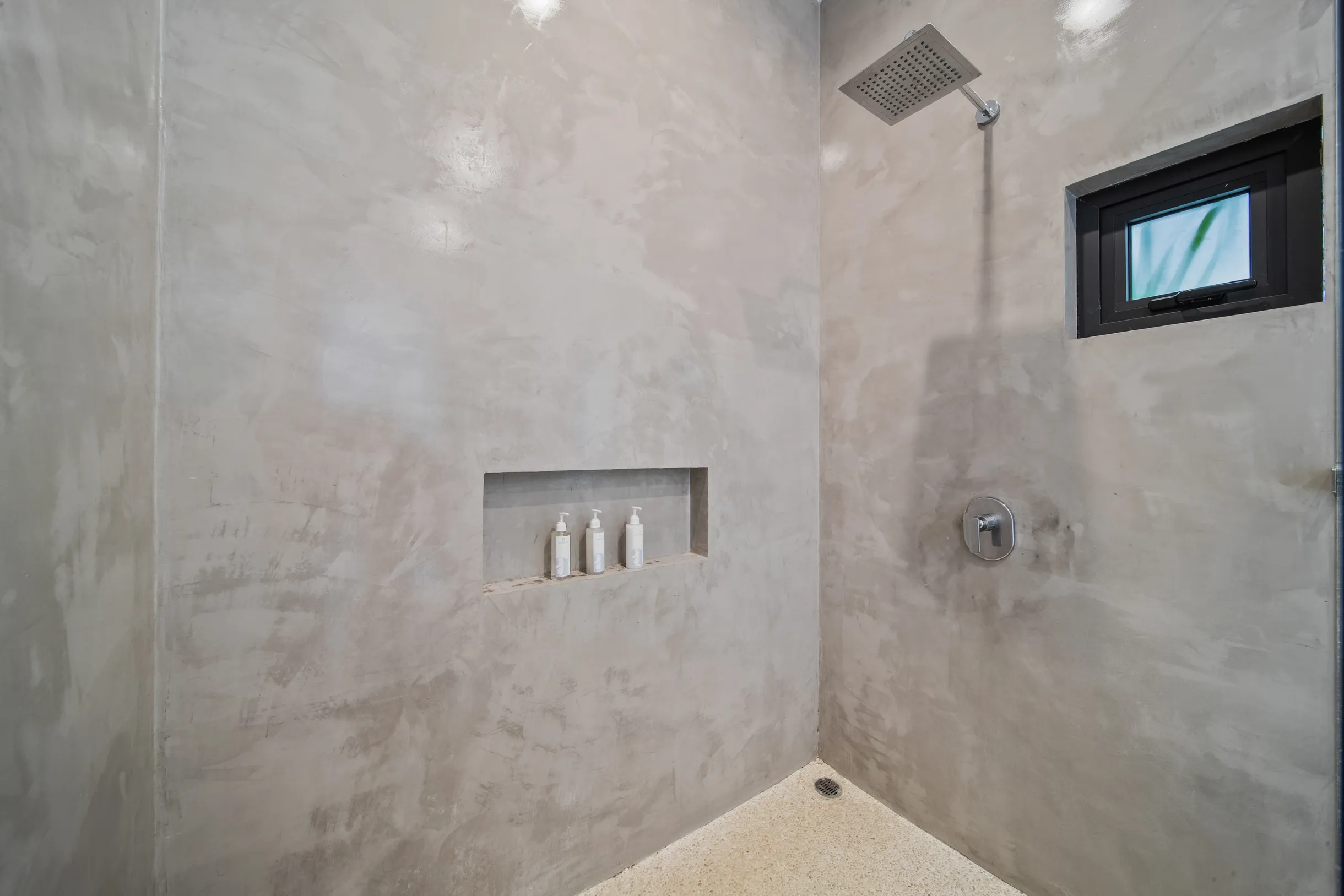 Wander Santa Teresa #85