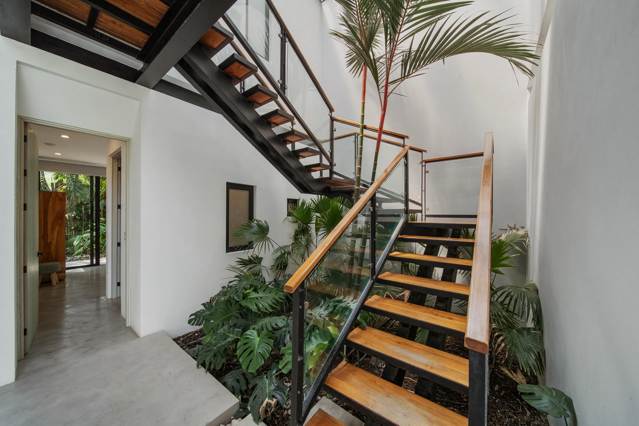 Wander Santa Teresa #170