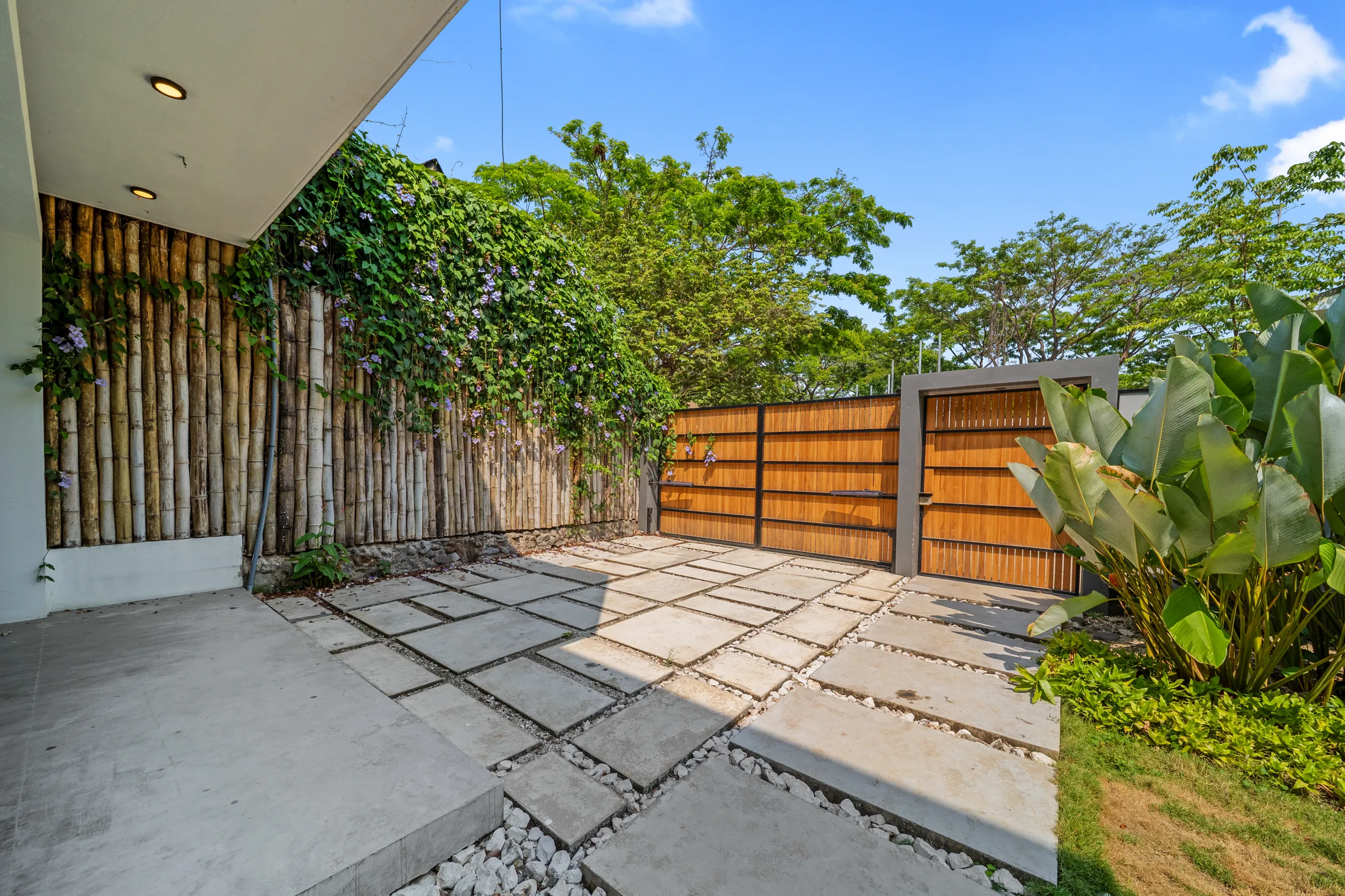 Wander Santa Teresa #144