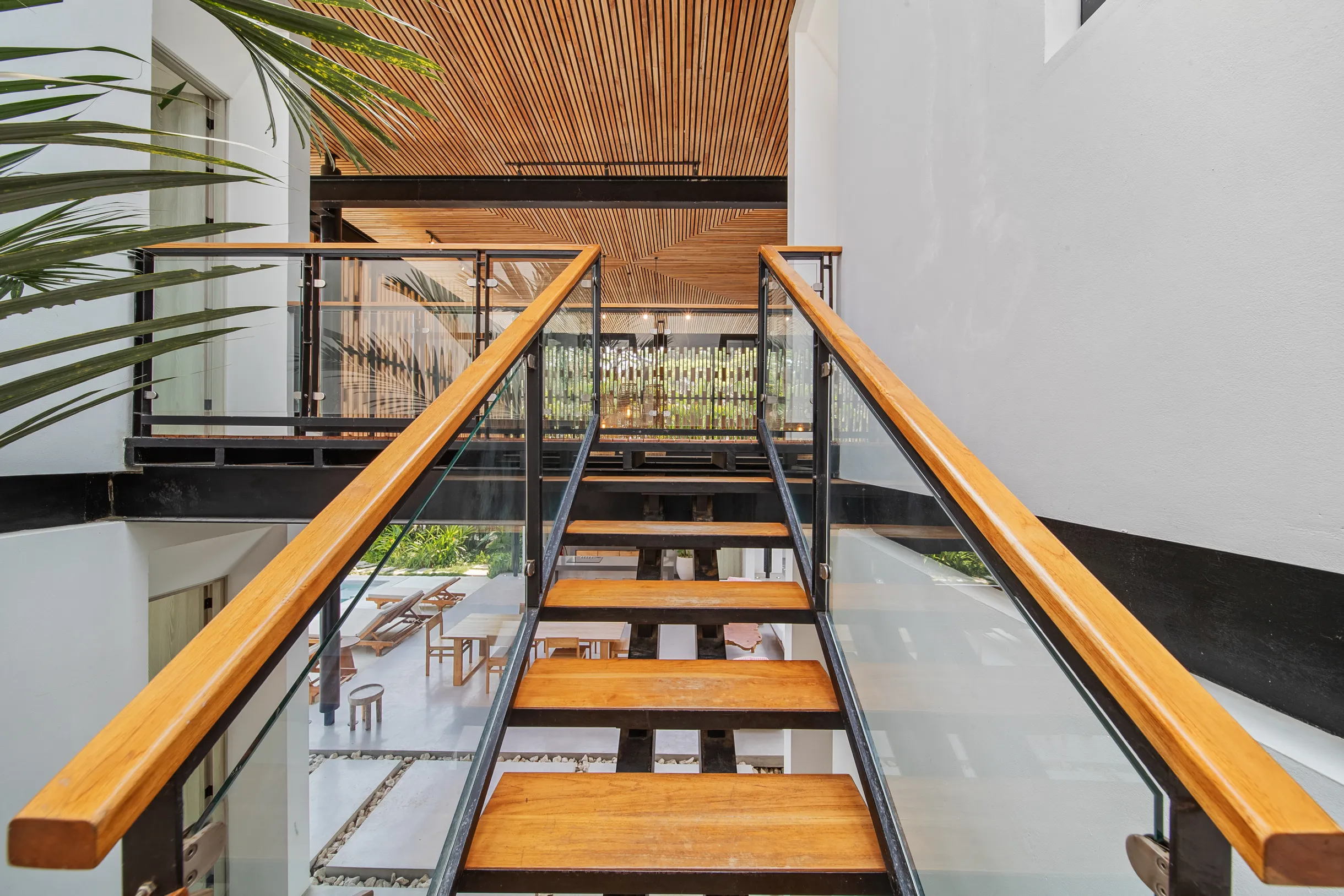 Wander Santa Teresa #67