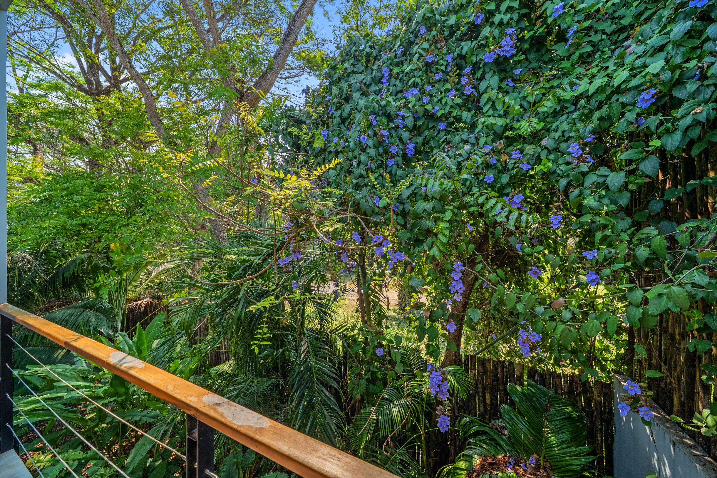 Wander Santa Teresa #156